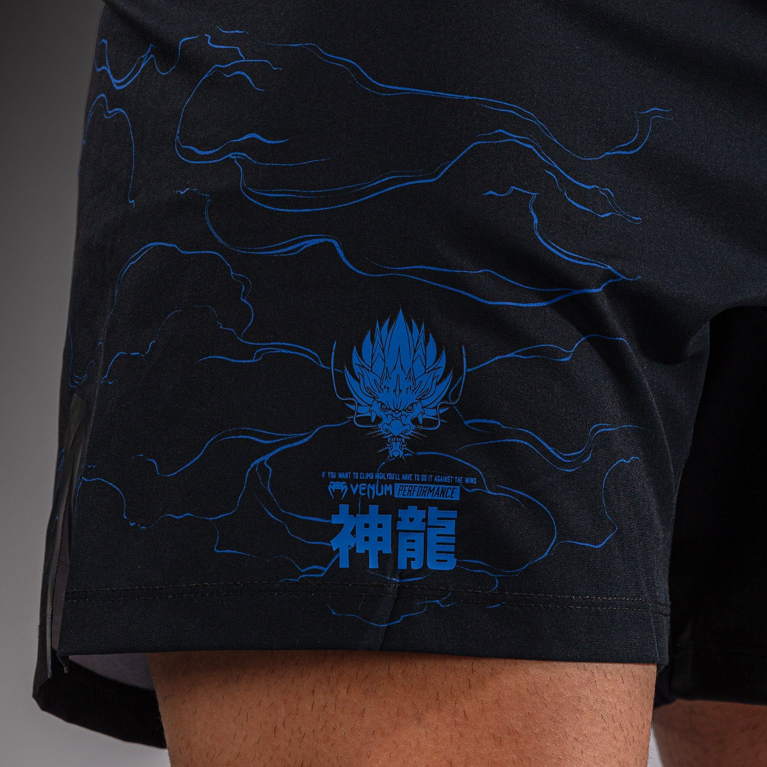 venum-thunder-dragon-fightshorts-herren-schwarz-k-nigsblau image 7