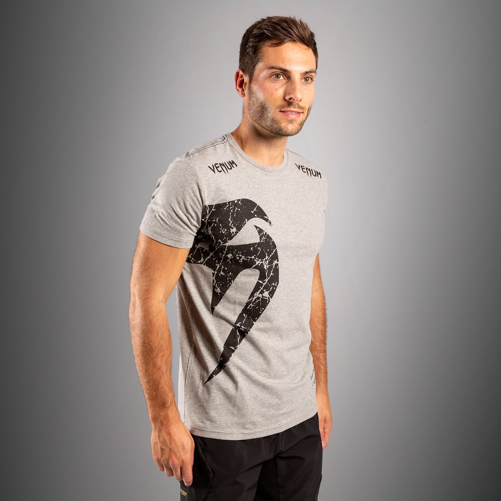 venum-giant-t-shirt-grau-schwarz-herren image 4