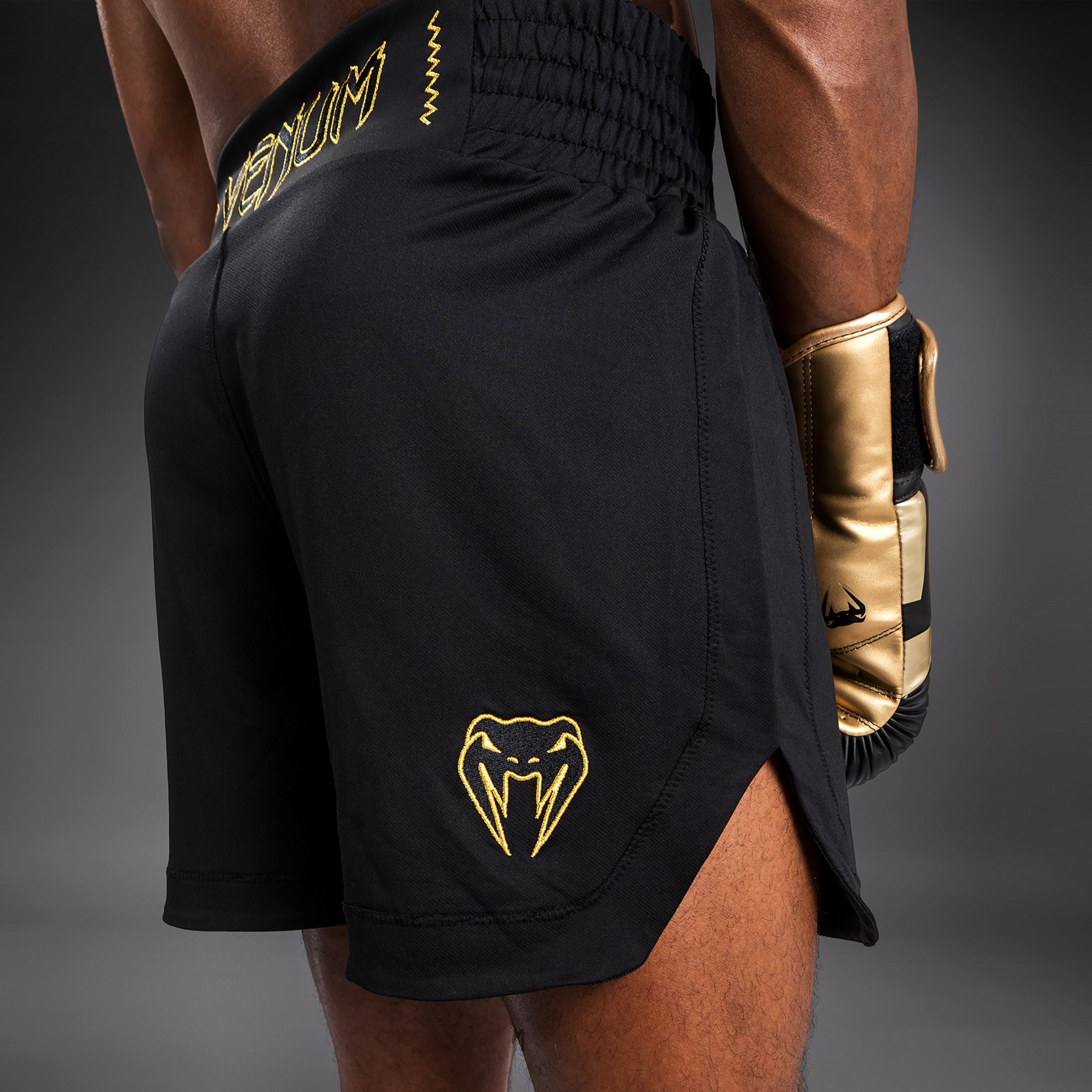 venum-classic-boxshorts-schwarz-gold image 2