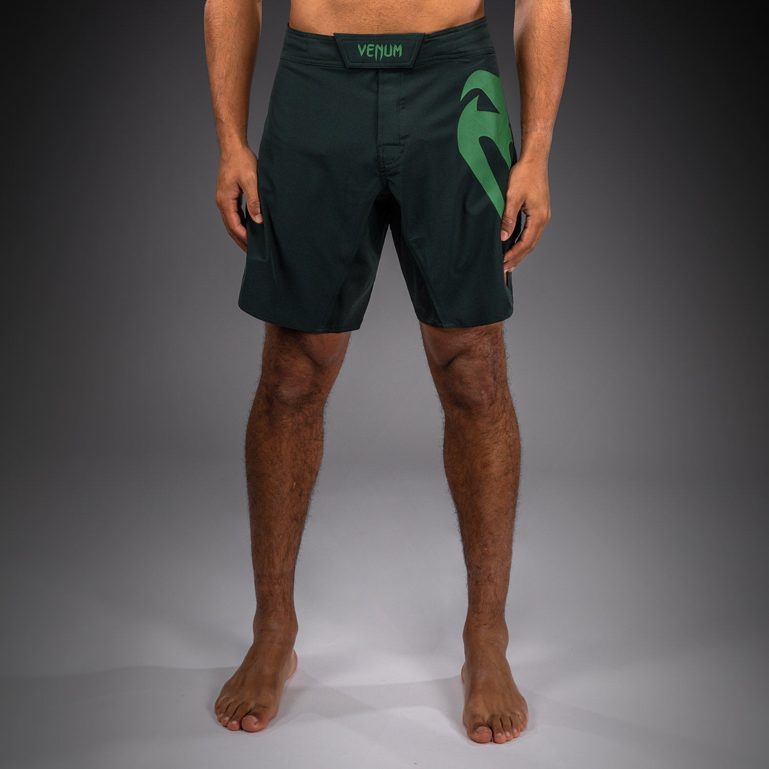 venum-light-5-0-fightshorts-waldgr-n-hellgr-n image 1