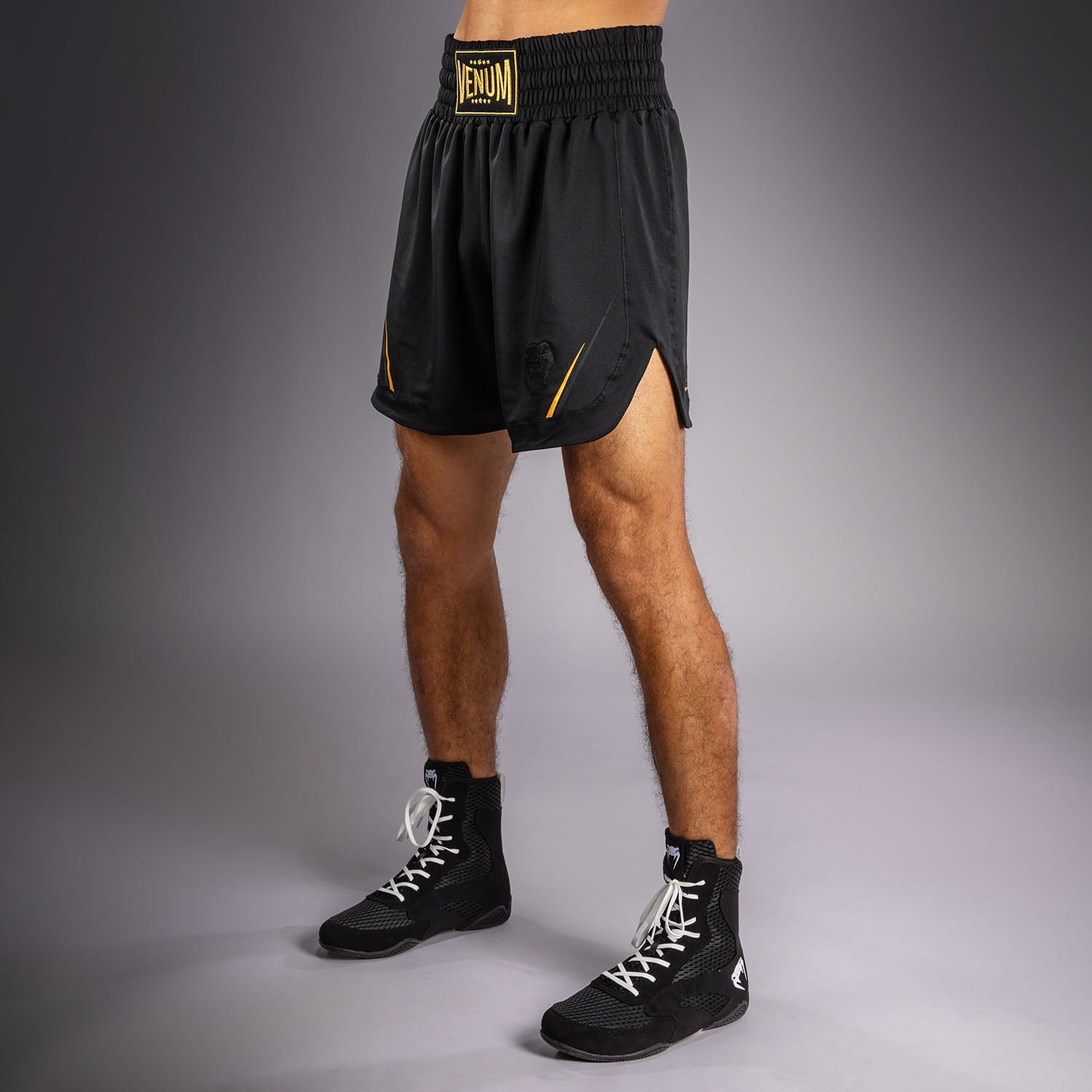 venum-g-core-boxshorts-herren-schwarz-gold image 2