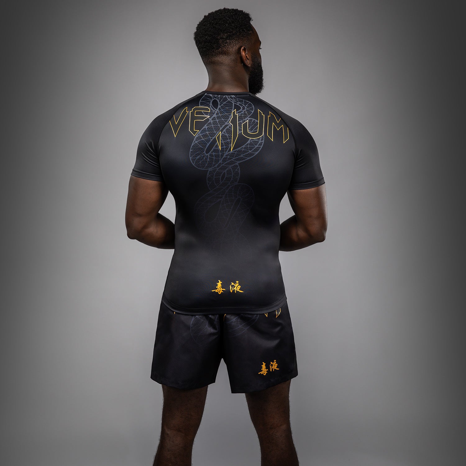 venum-serpenti-kurzarm-rashguard-schwarz-silber-gold-herren image 3