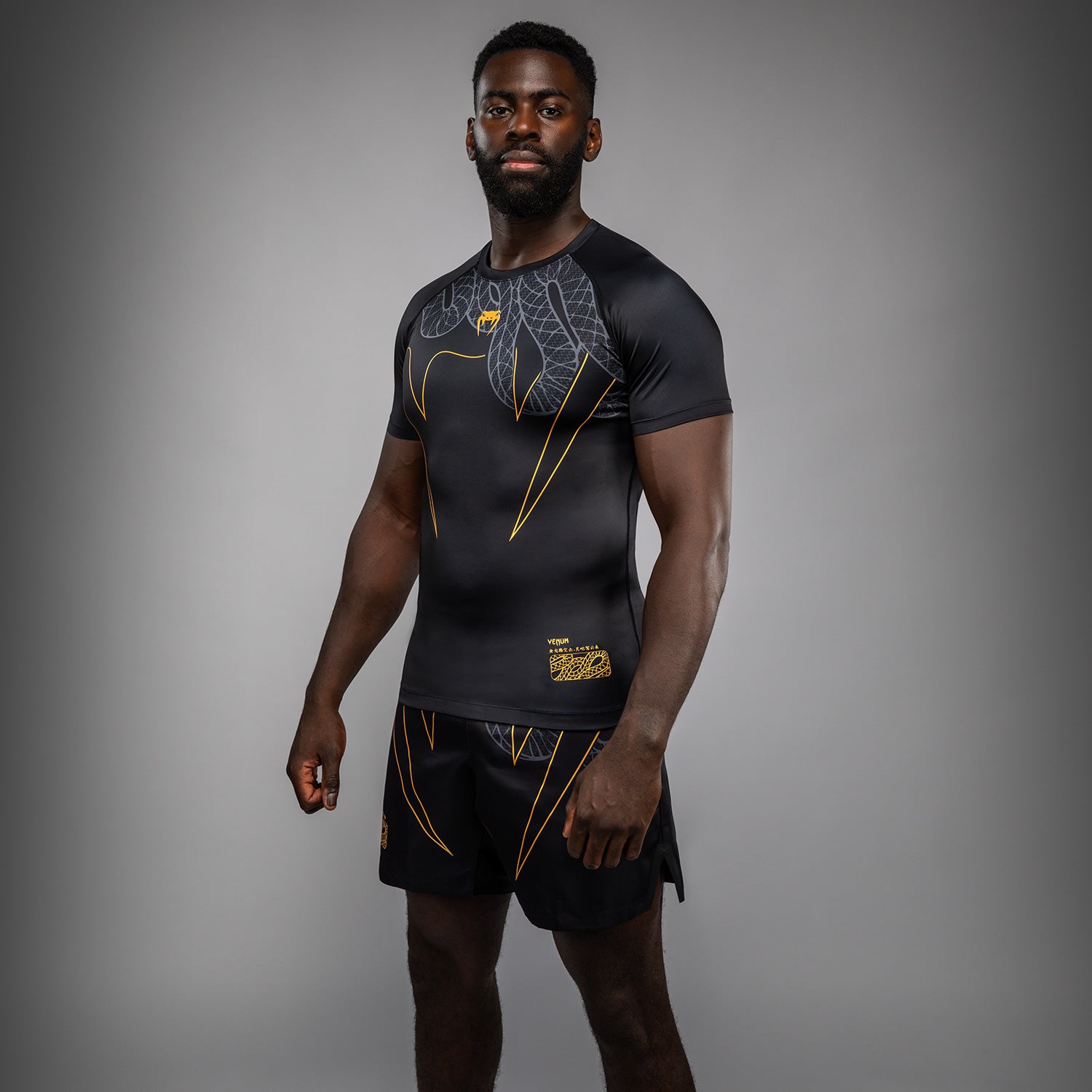 venum-serpenti-kurzarm-rashguard-schwarz-silber-gold-herren image 2