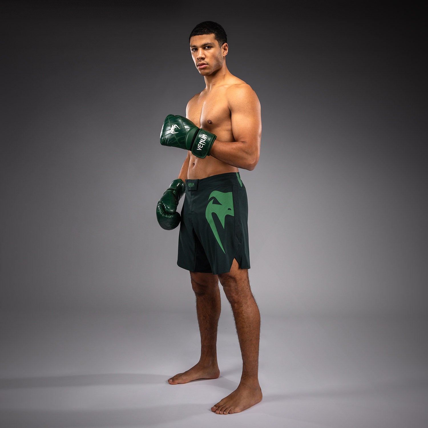 venum-light-5-0-fightshorts-waldgr-n-hellgr-n image 6