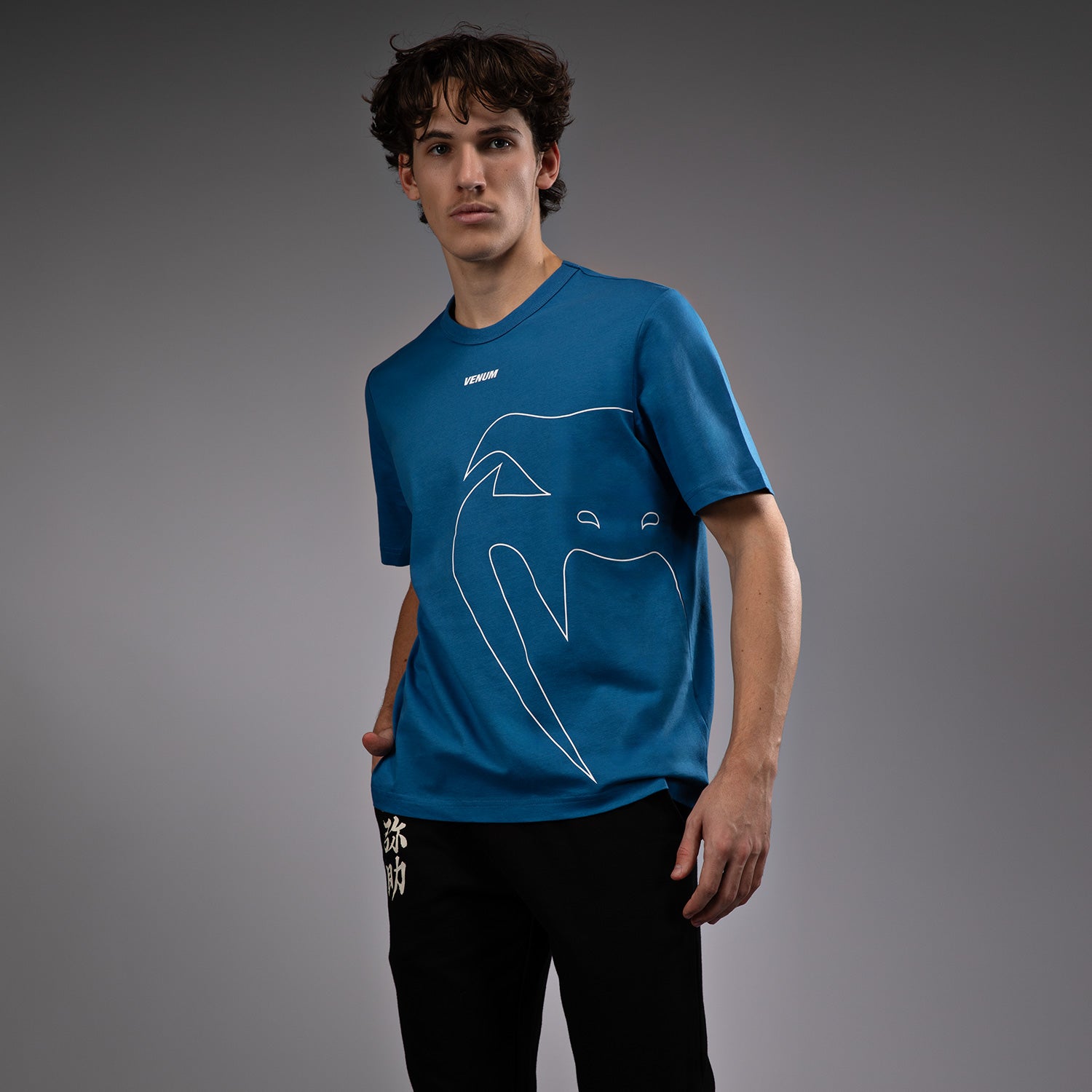 venum-giant-connect-t-shirt-herren-mystie-blau image 2
