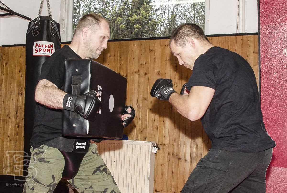 paffen-sport-contact-t-freefight-handschuhe-leder image 2