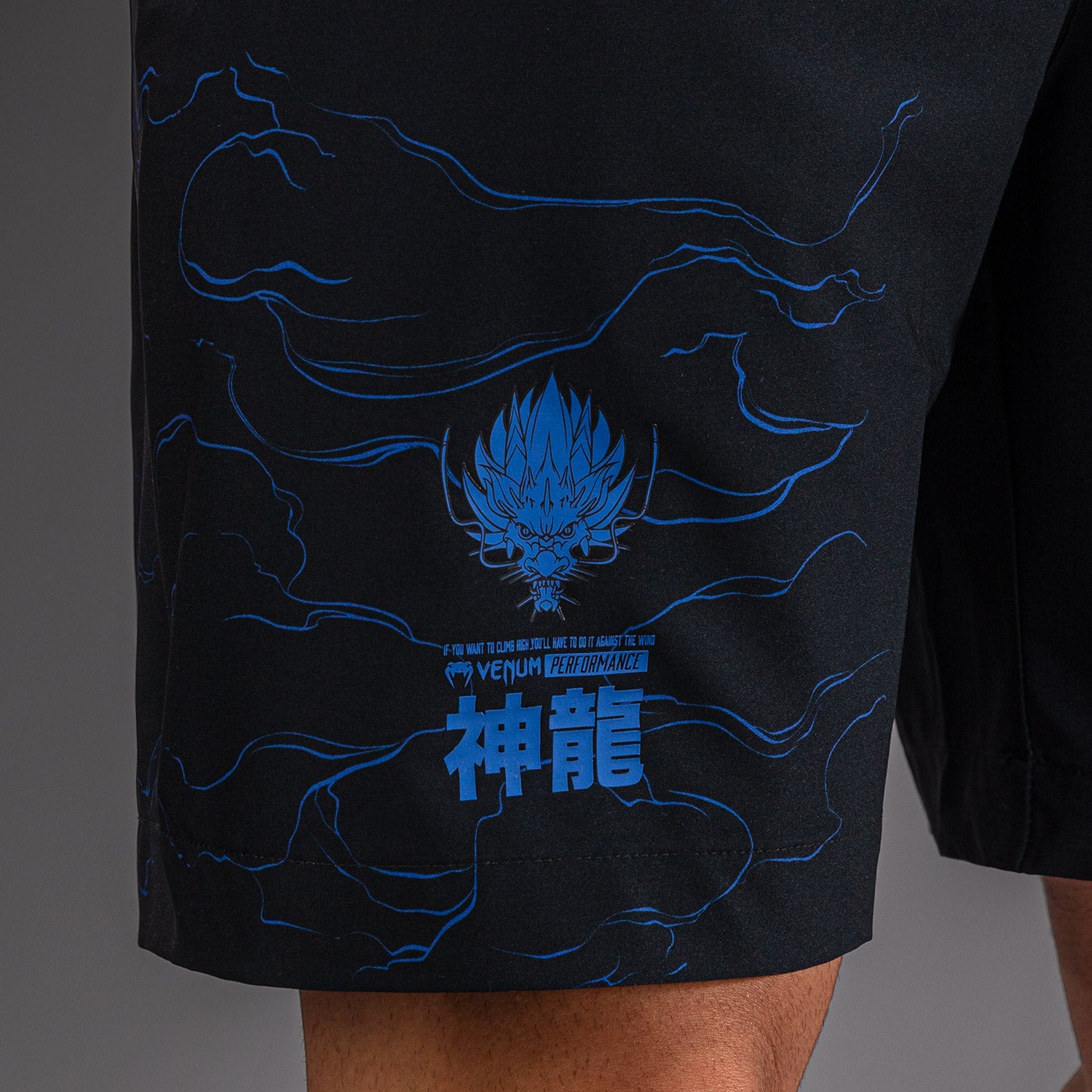 venum-thunder-dragon-trainingsshorts-schwarz-k-nigsblau image 7