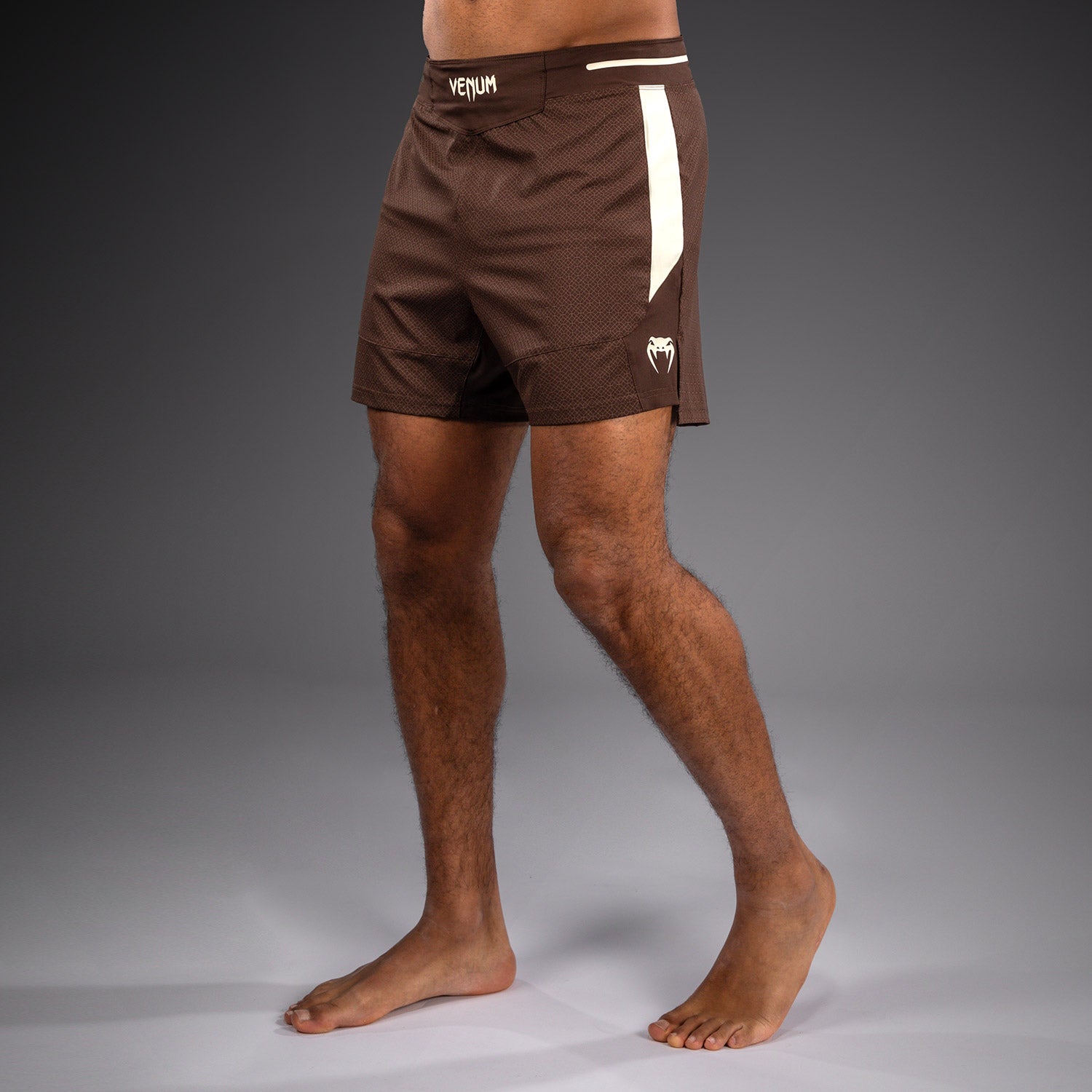 venum-x-roger-gracie-academy-fightshorts-herren-dunkelbraun image 3