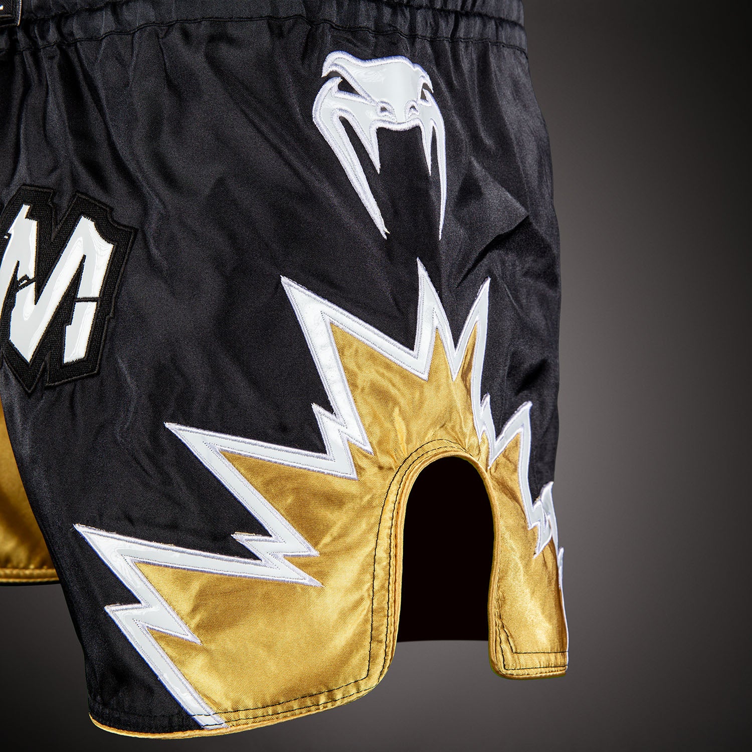 venum-inferno-2-0-muay-thai-shorts-schwarz-gold image 5