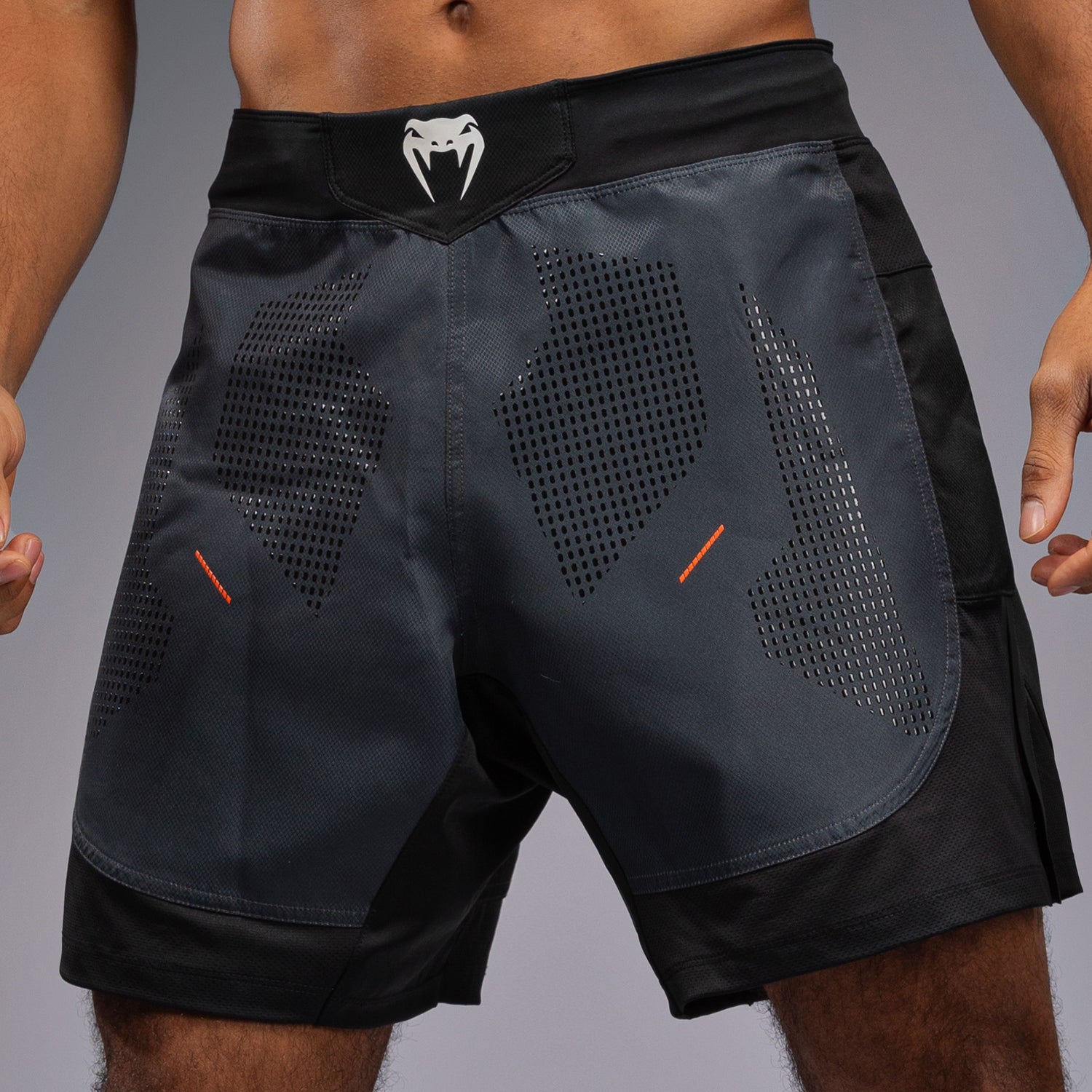 venum-technical-3-0-kampfshorts-graphit image 6