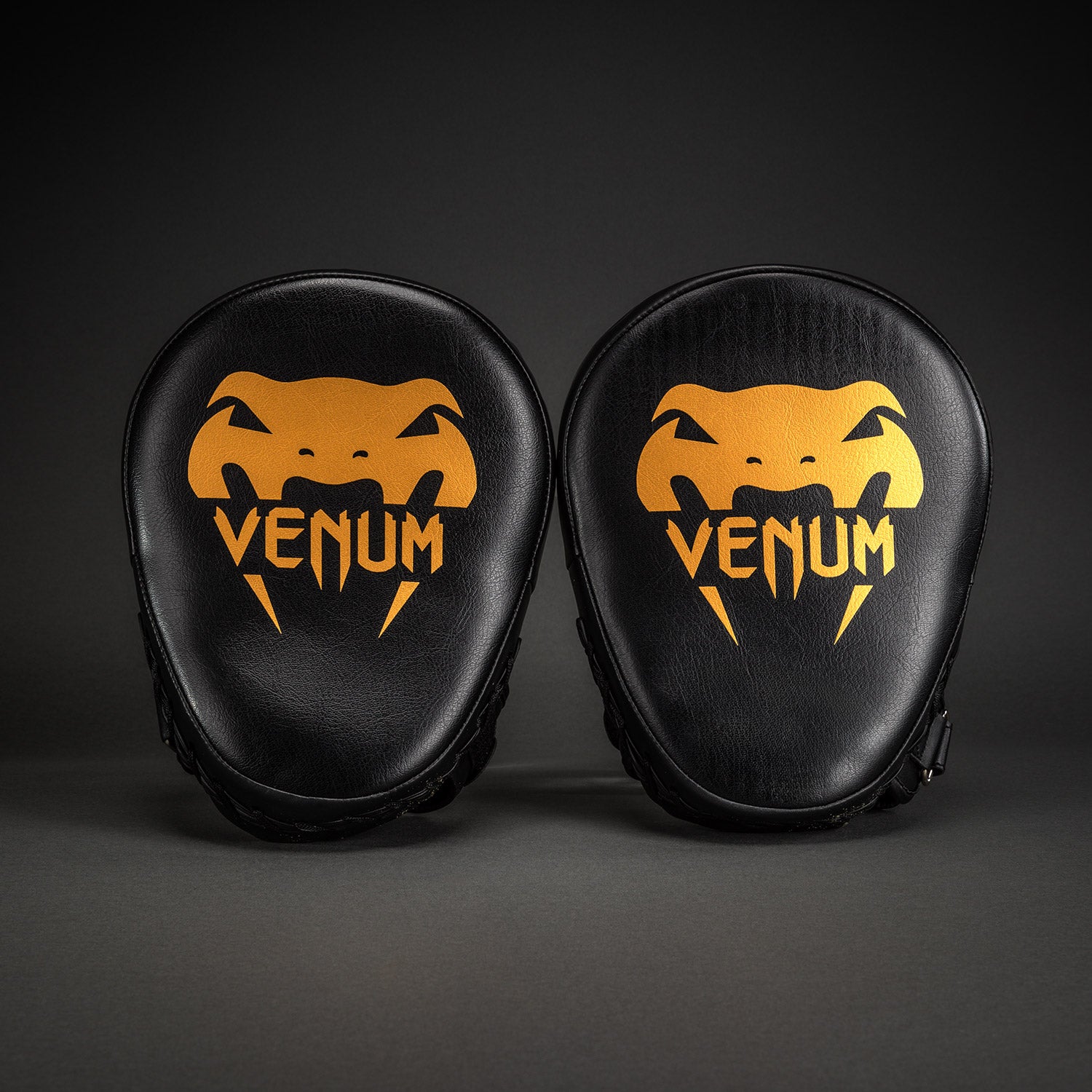 venum-light-pratzen-paar-schwarz-gold image 1