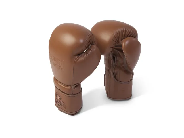 paffen-sport-the-traditional-leder-boxhandschuhe-training-sparring image 1