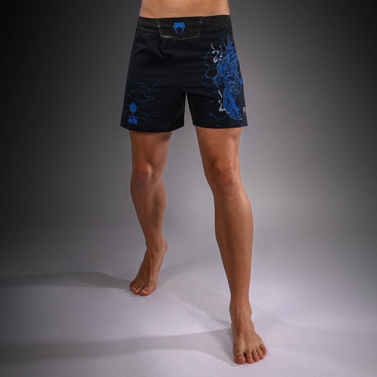 venum-thunder-dragon-fightshorts-herren-schwarz-k-nigsblau image 2