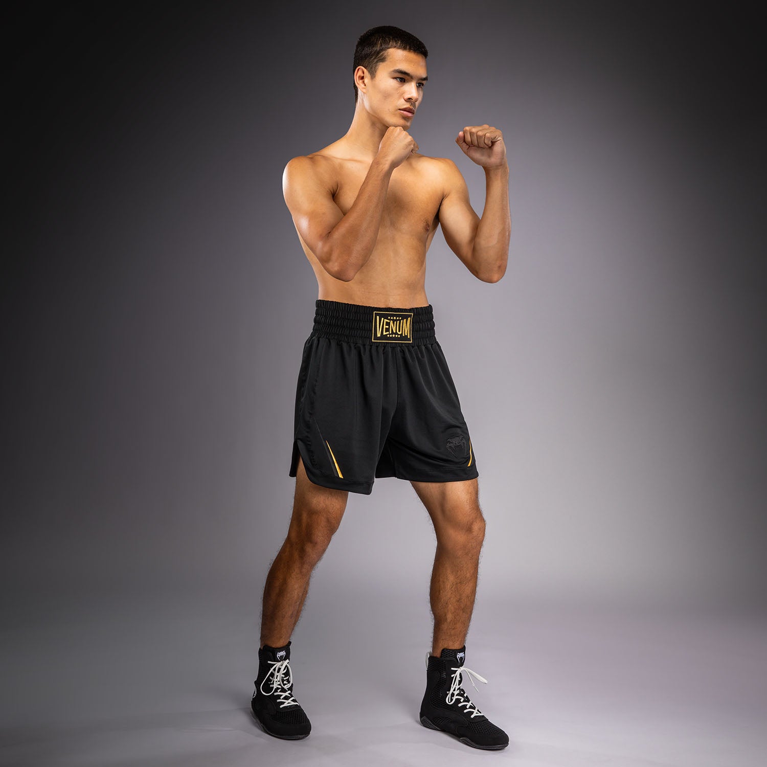 venum-g-core-boxshorts-herren-schwarz-gold image 4