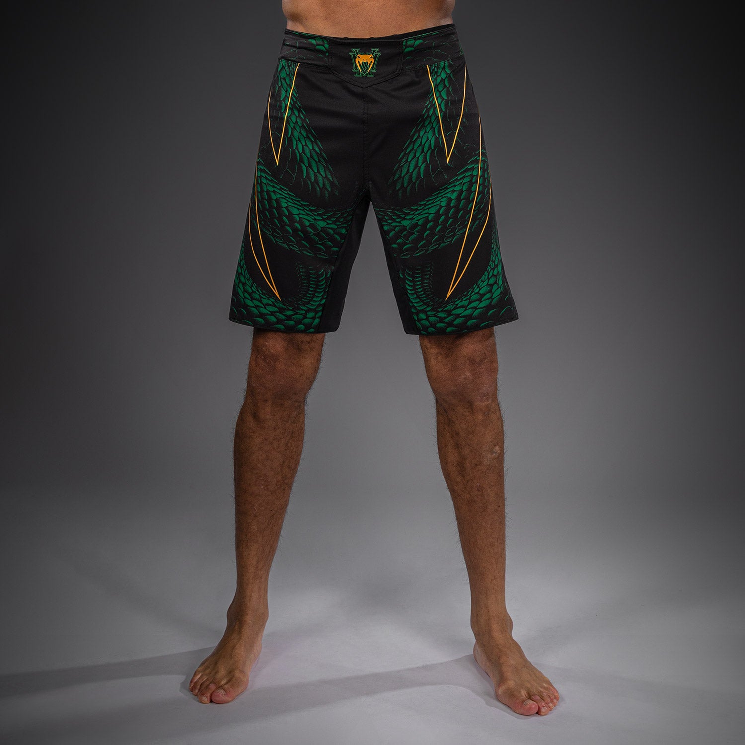 venum-matupa-fightshorts-herren-schwarz-gr-n-gold image 2