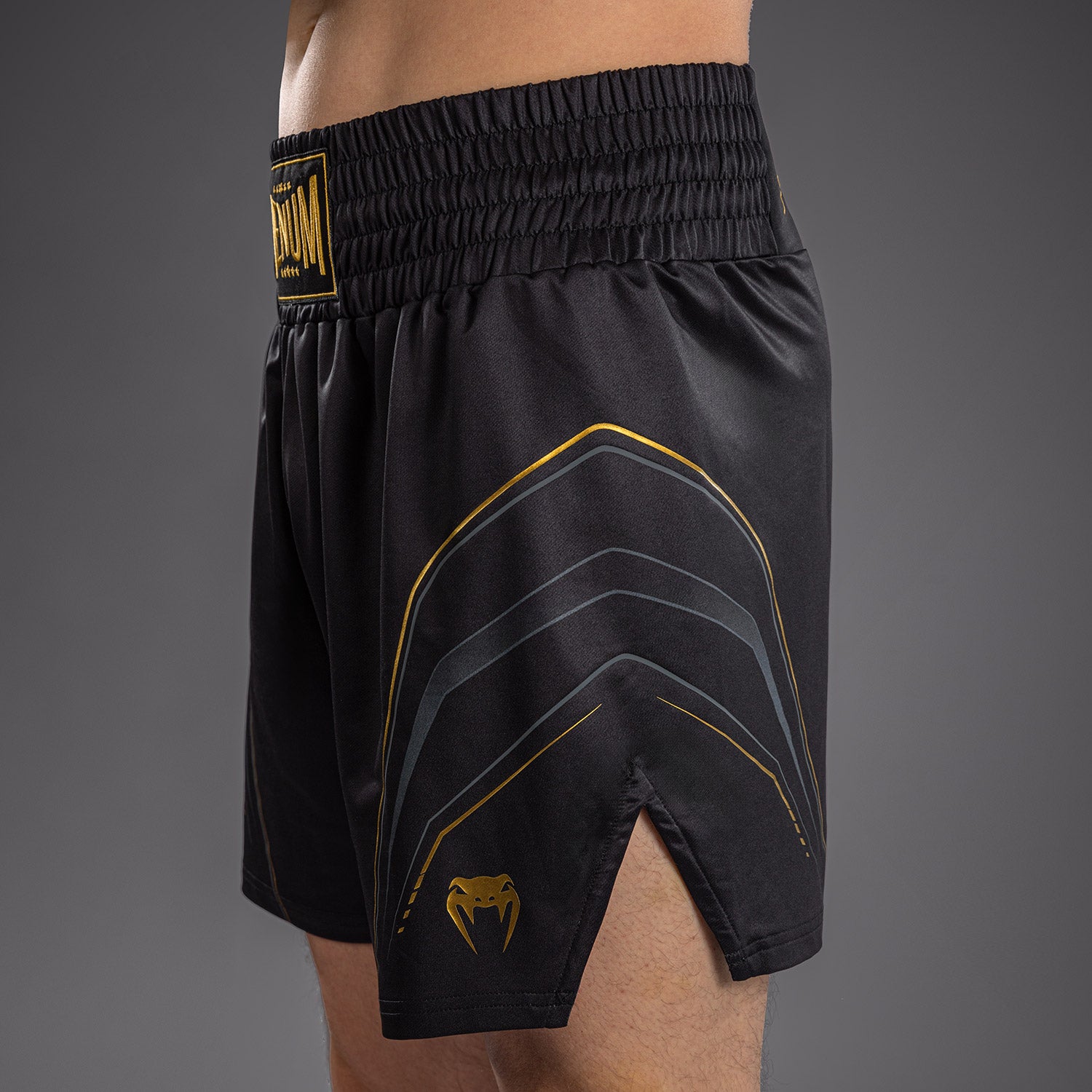 venum-streamline-boxshorts-schwarz-gold image 5