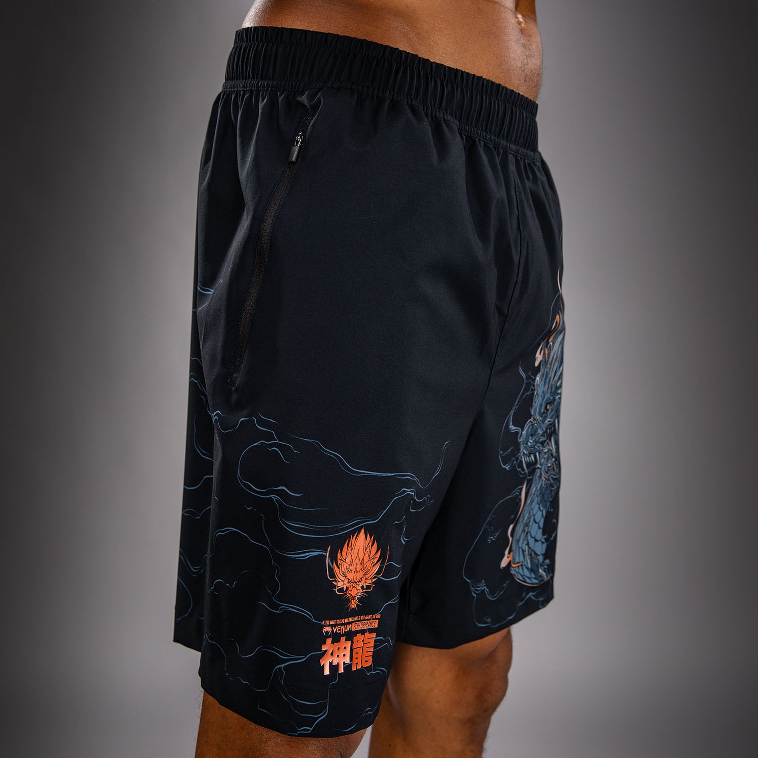 venum-thunder-dragon-trainingsshorts-schwarz-grau-kupfer image 6