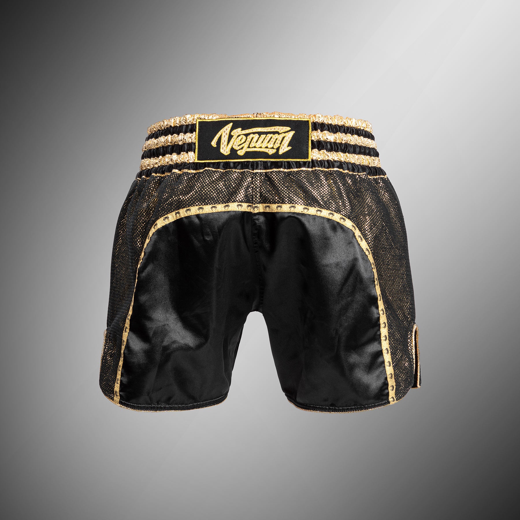 venum-absolute-2-0-muay-thai-shorts-schwarz-gold image 2