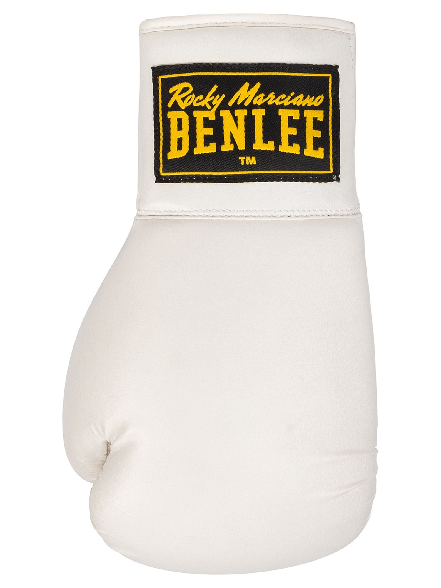 benlee-autograph-gloves-sammelhandschuh-boxen image 6