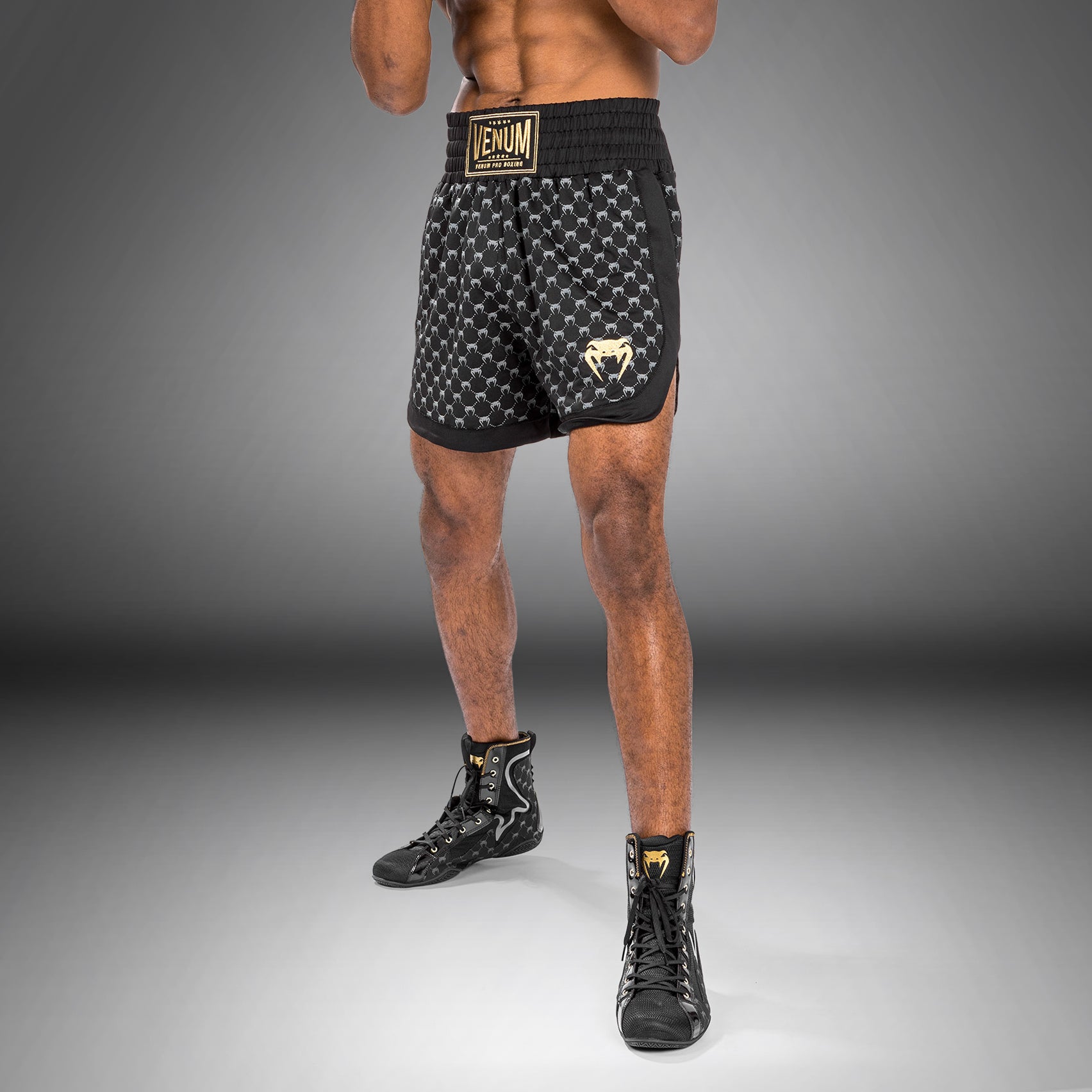 venum-monogram-boxshorts-herren-schwarz image 2