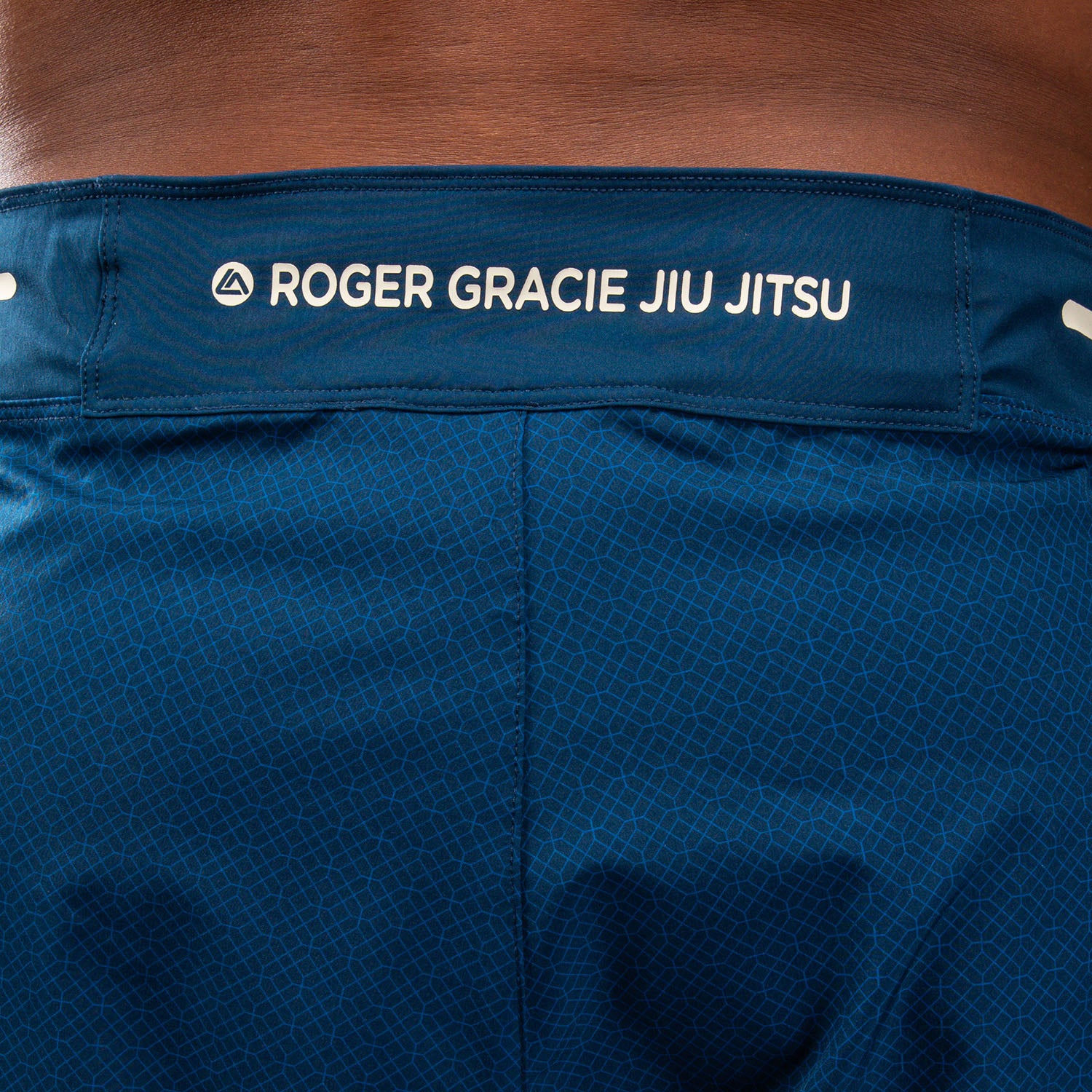 venum-x-roger-gracie-academy-fightshorts-blau image 7