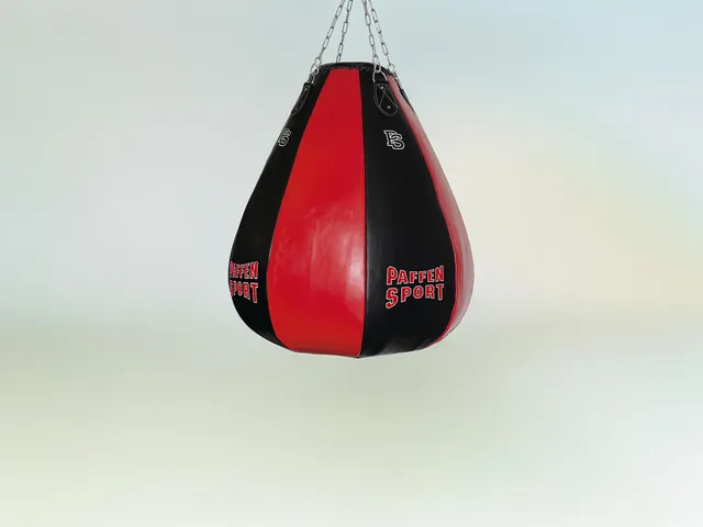 paffen-sport-star-giant-mb-leder-boxsack-maisbirne-80-kg image 1