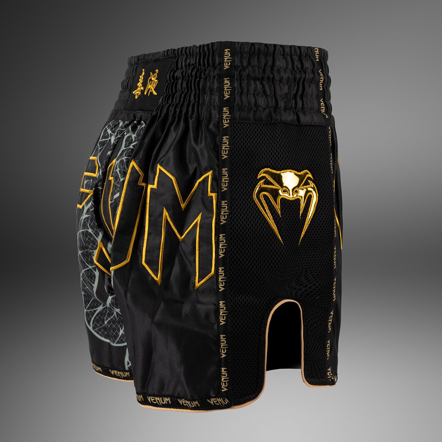 venum-serpenti-muay-thai-shorts-schwarz-silber-gold image 4