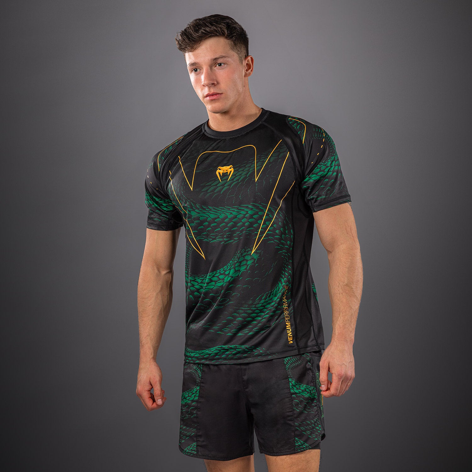 venum-matupa-dry-tech-t-shirt-herren-schwarz-gr-n-gold image 2