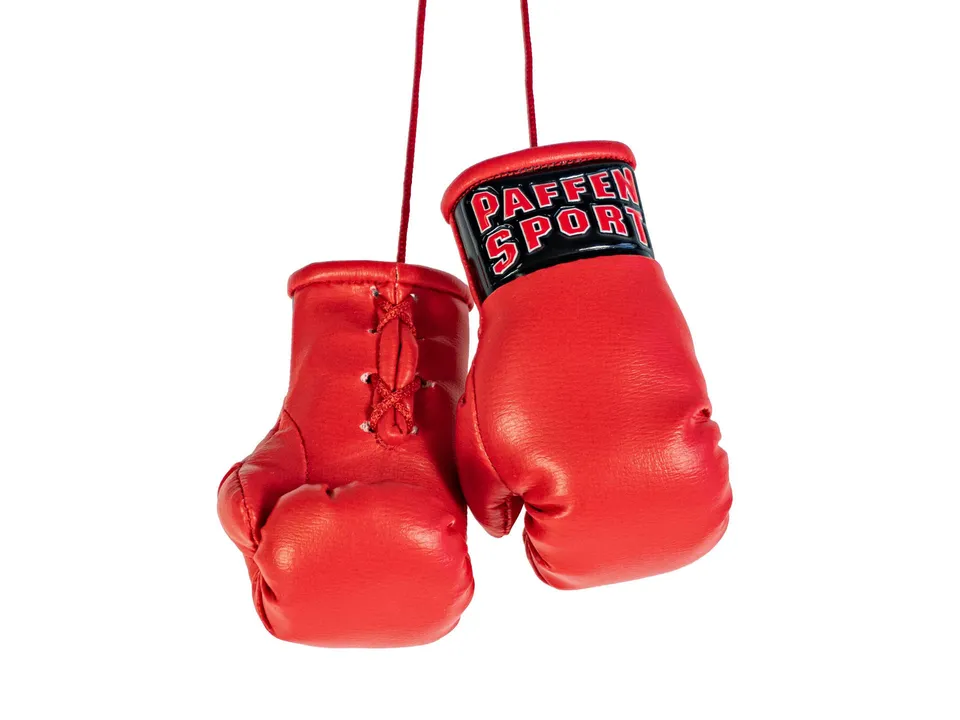 paffen-sport-colour-mini-boxhandschuhe-anh-nger-9-cm-f-r-autospiegel image 1