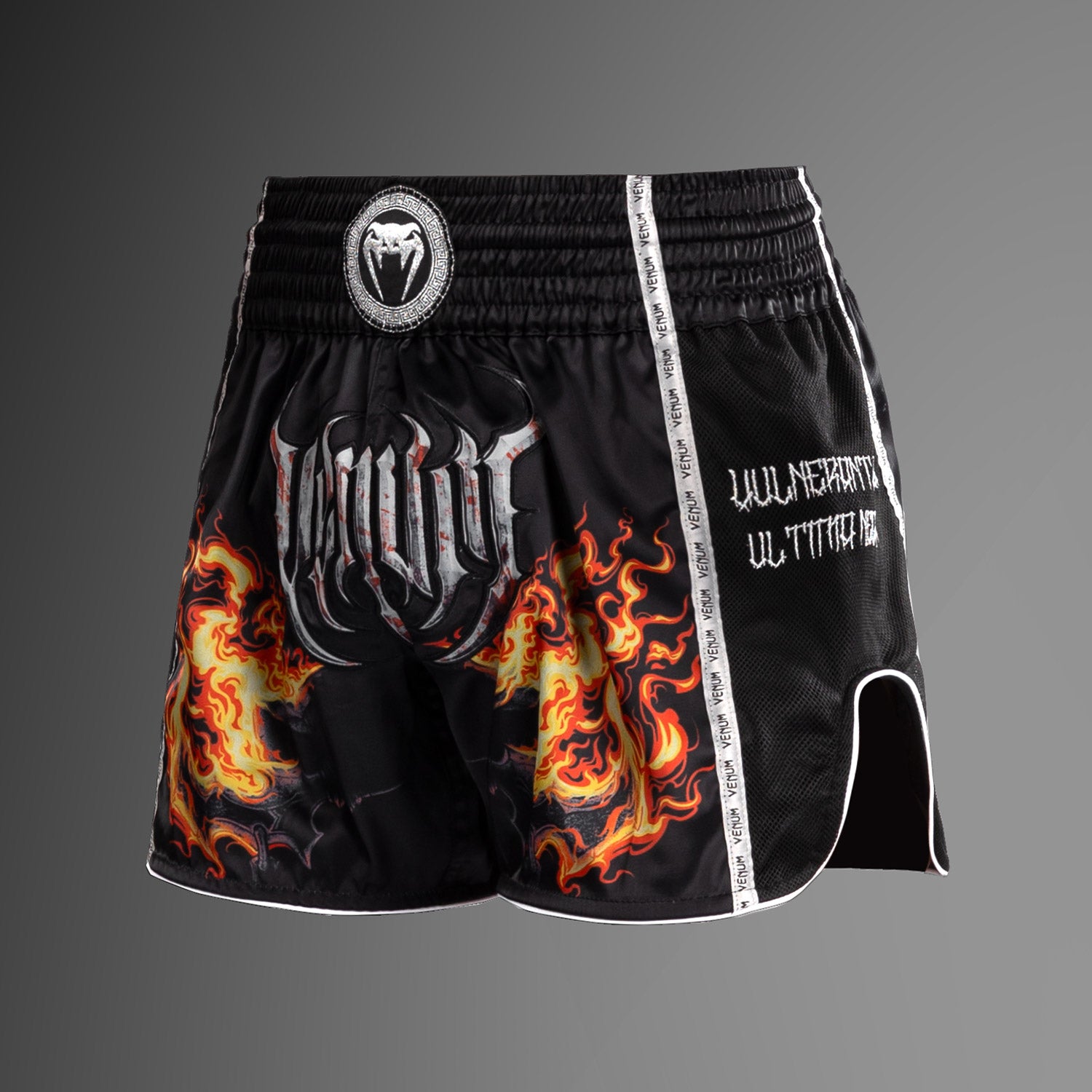 venum-gladiator-5-0-muay-thai-shorts-schwarz-neon-orange image 2