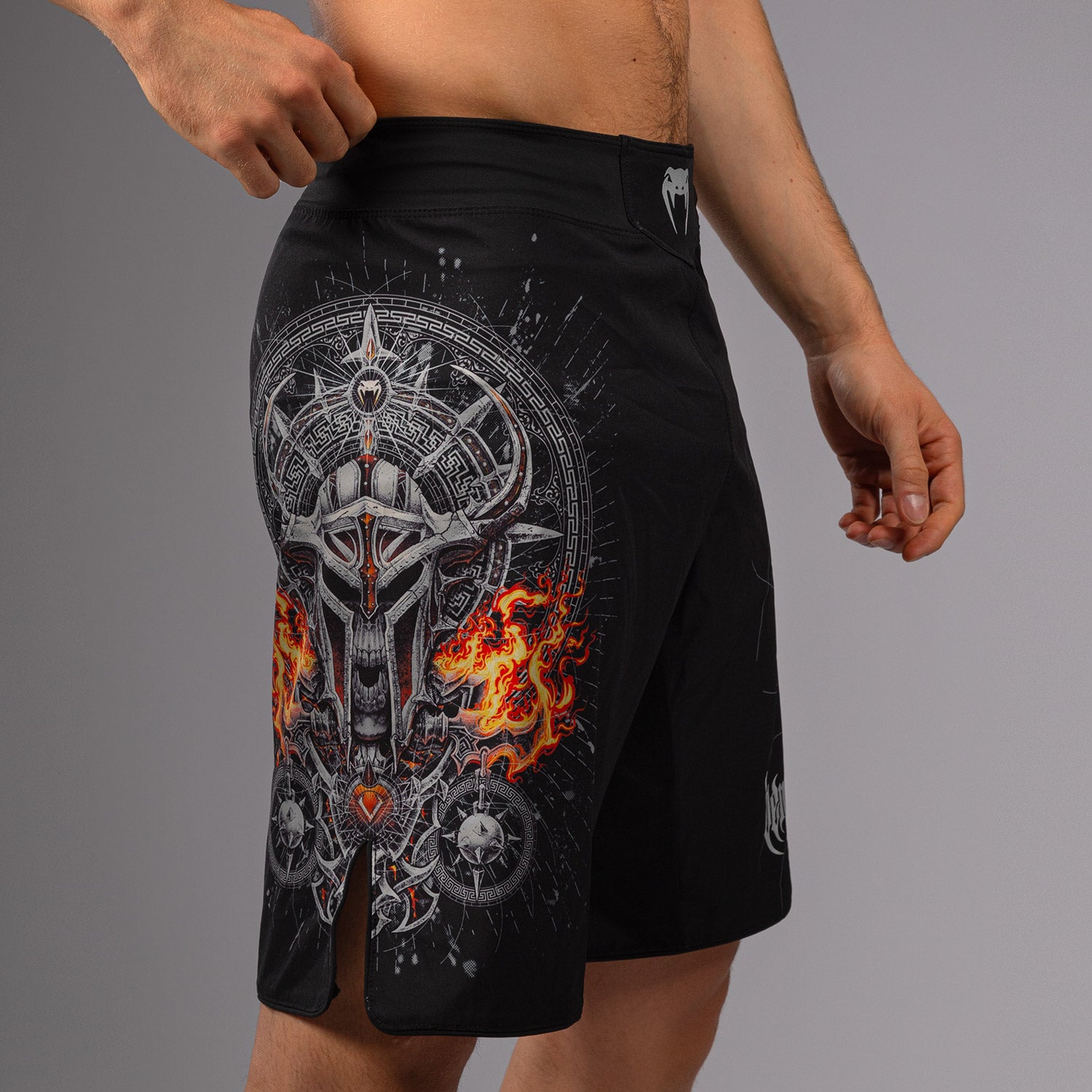 venum-gladiator-5-0-fight-shorts-herren-schwarz-silber image 6