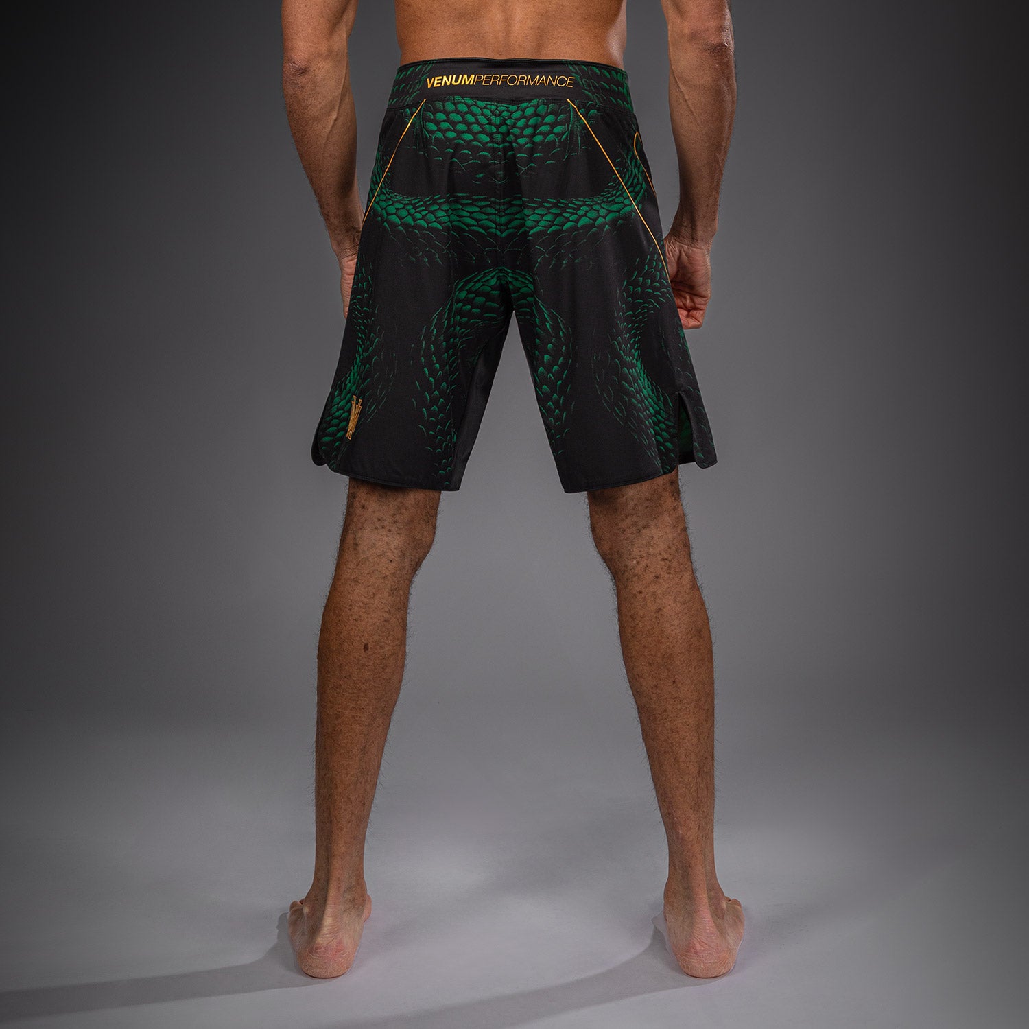 venum-matupa-fightshorts-herren-schwarz-gr-n-gold image 3