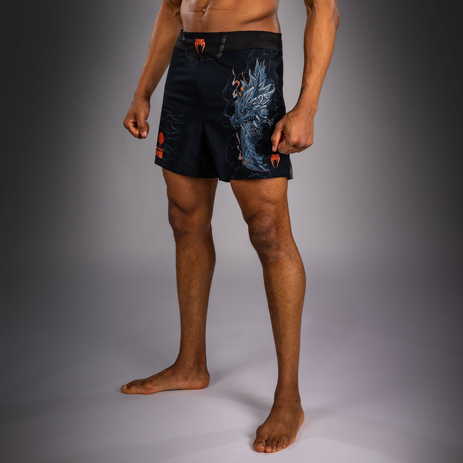 venum-thunder-dragon-fightshorts-herren-schwarz-grau-kupfer image 2