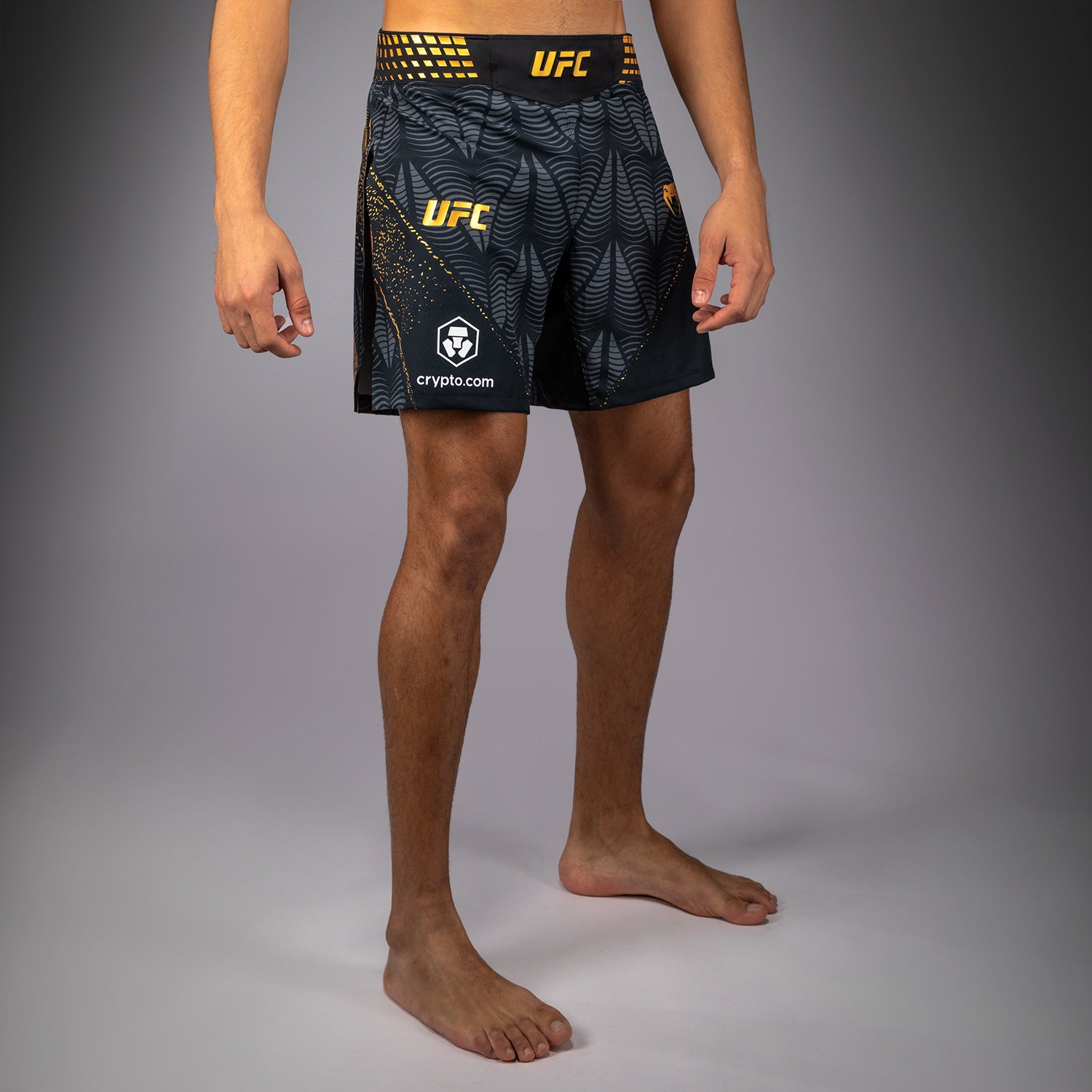 ufc-zenith-by-venum-authentic-fight-night-fightshorts-herren-gladiator-champion image 2