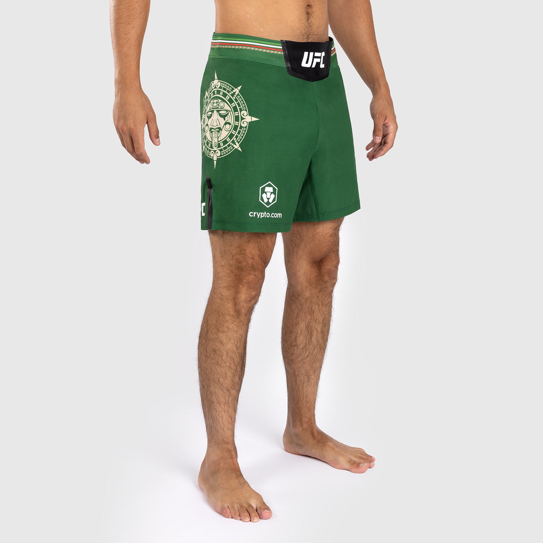 noche-ufc-by-venum-authentic-fight-night-kampfhose-kurz-gr-n image 5