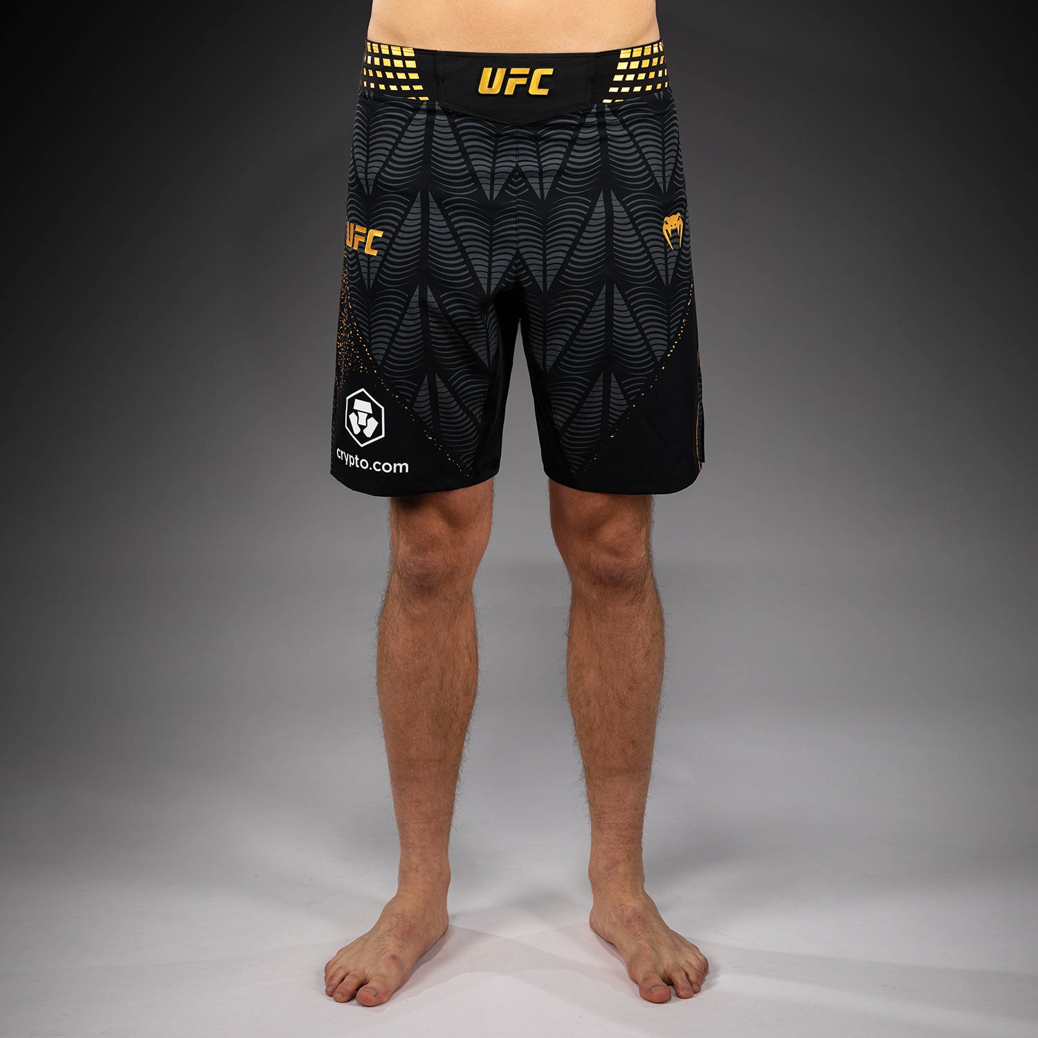 ufc-zenith-by-venum-authentic-fight-night-long-fit-fight-shorts-herren-champion- image 2