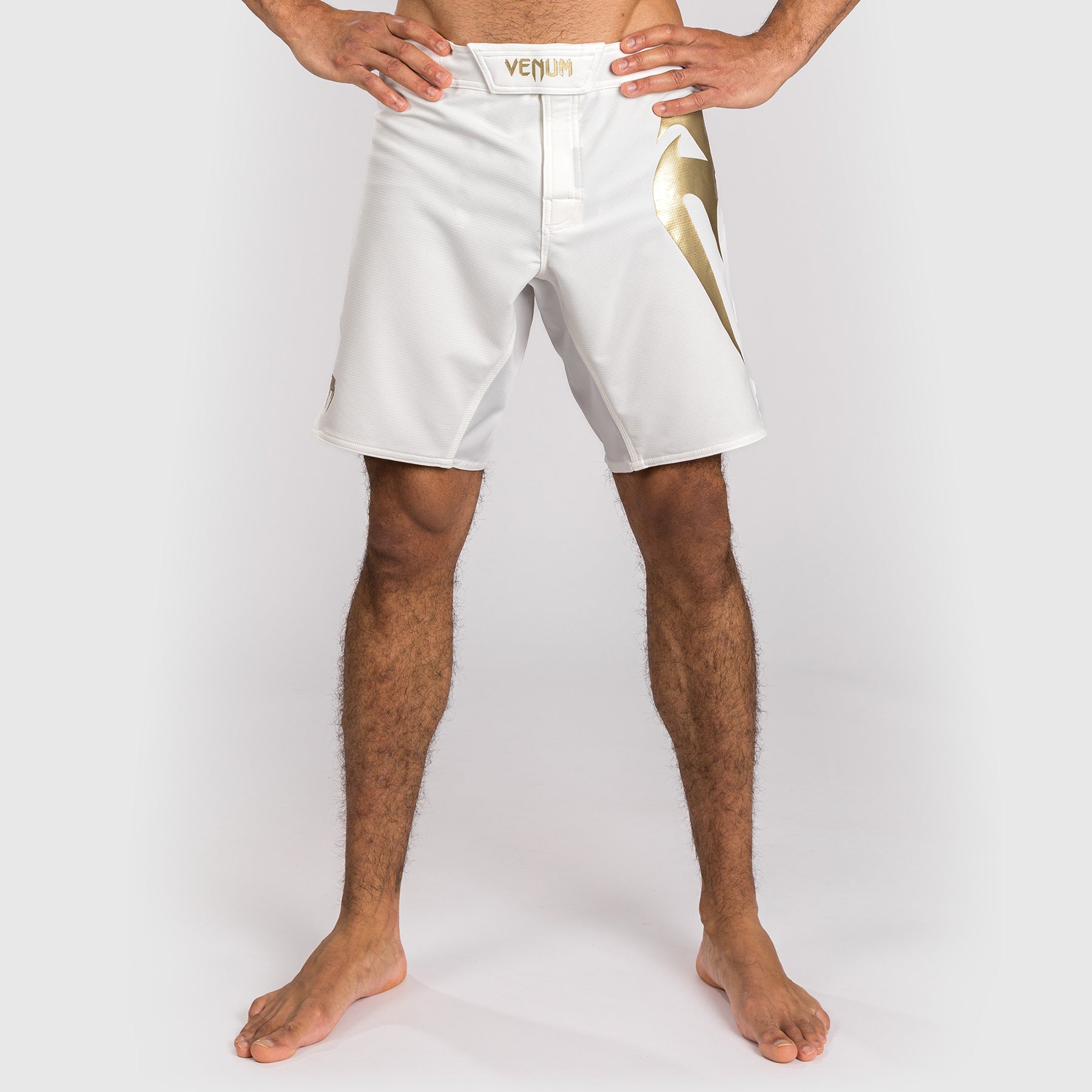 venum-light-5-0-fight-shorts-wei-gold-f-r-herren image 5