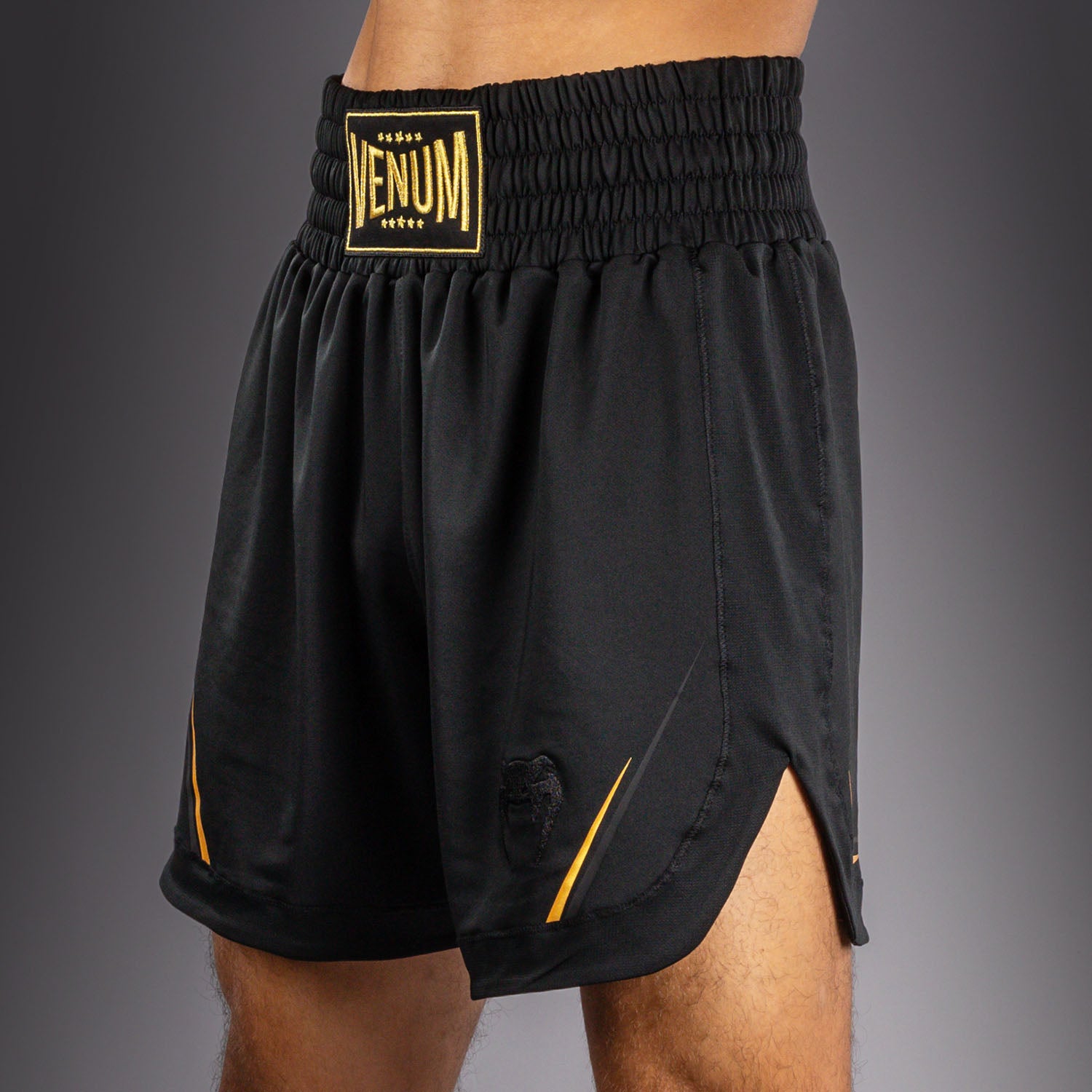venum-g-core-boxshorts-herren-schwarz-gold image 5