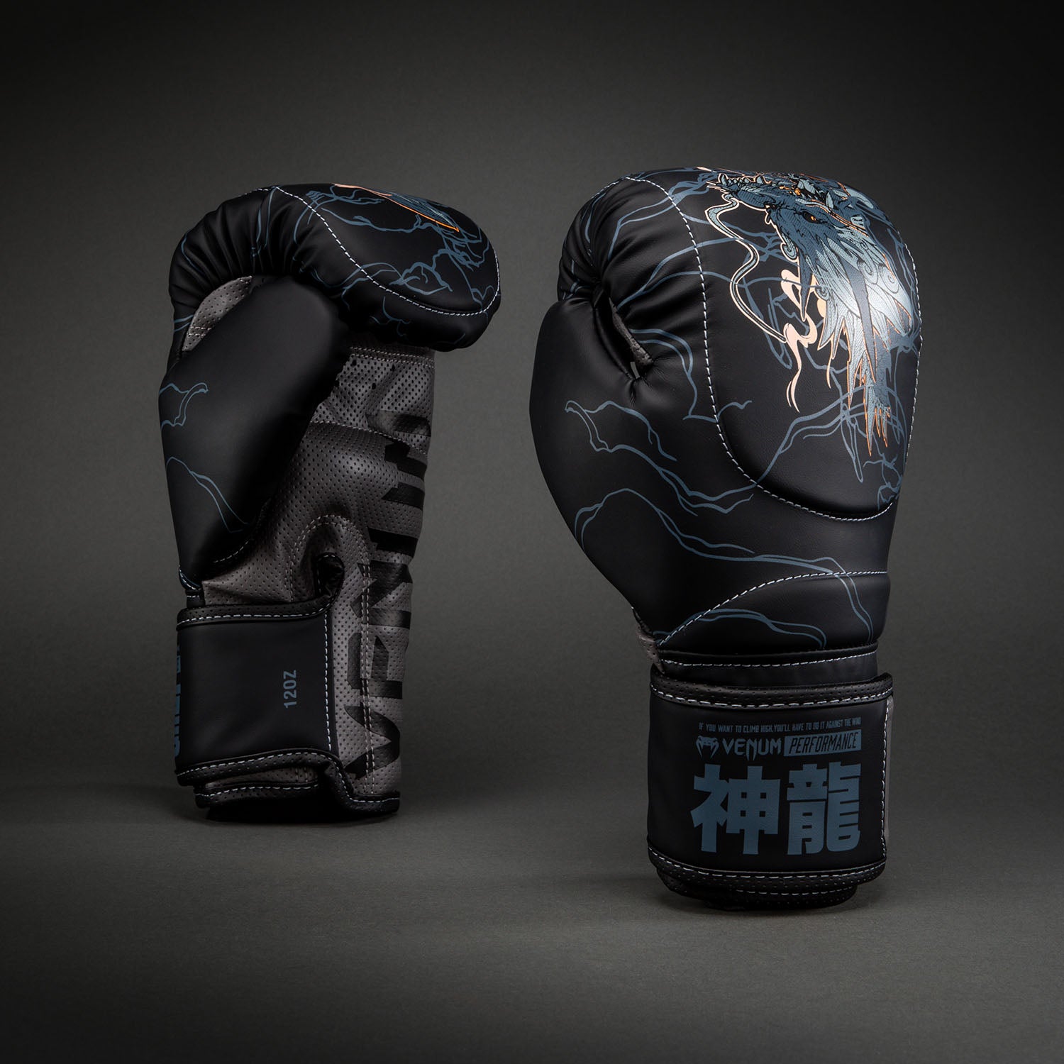 venum-thunder-dragon-boxhandschuhe-schwarz-grau-kupfer image 1