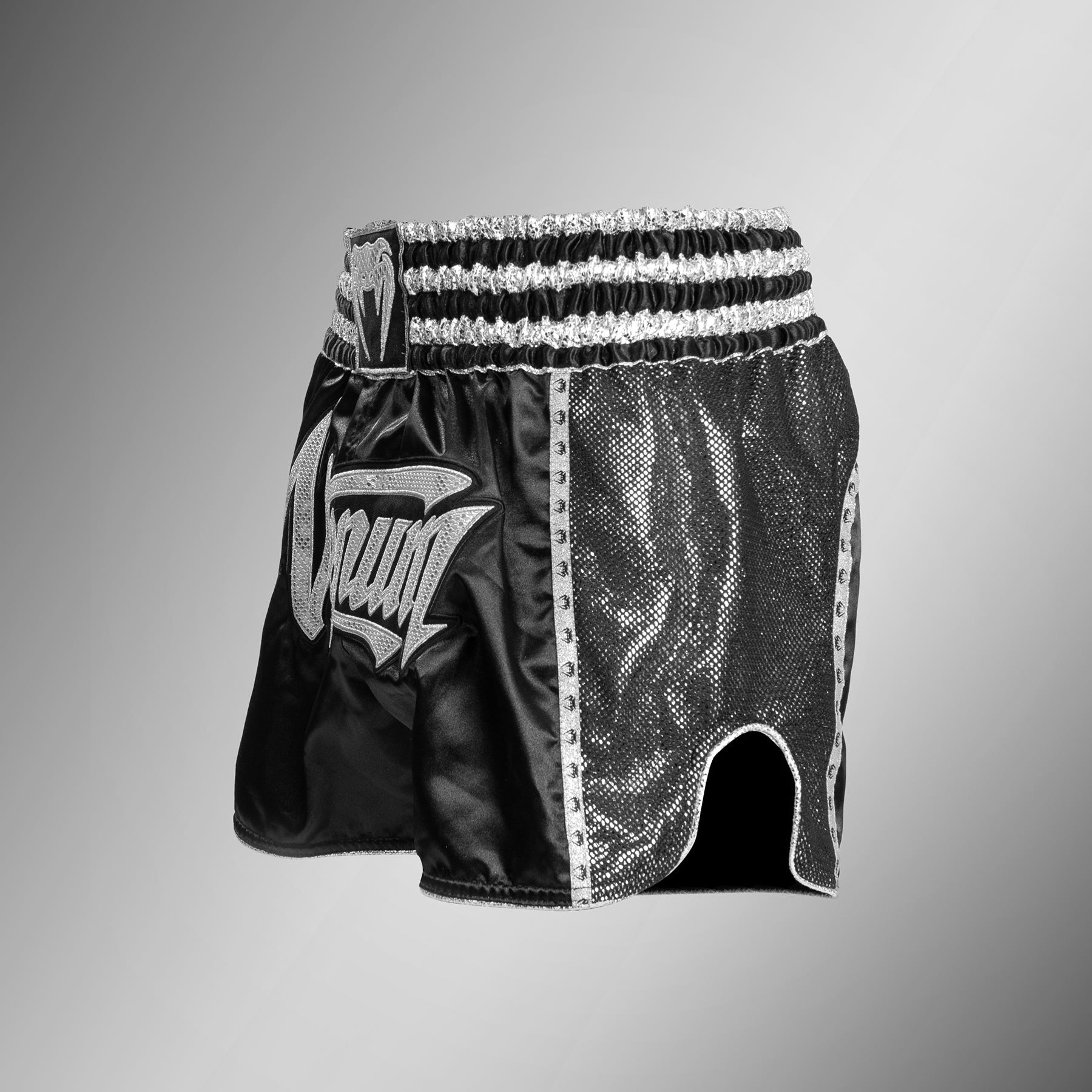 venum-absolute-2-0-muay-thai-shorts-schwarz-silber image 2
