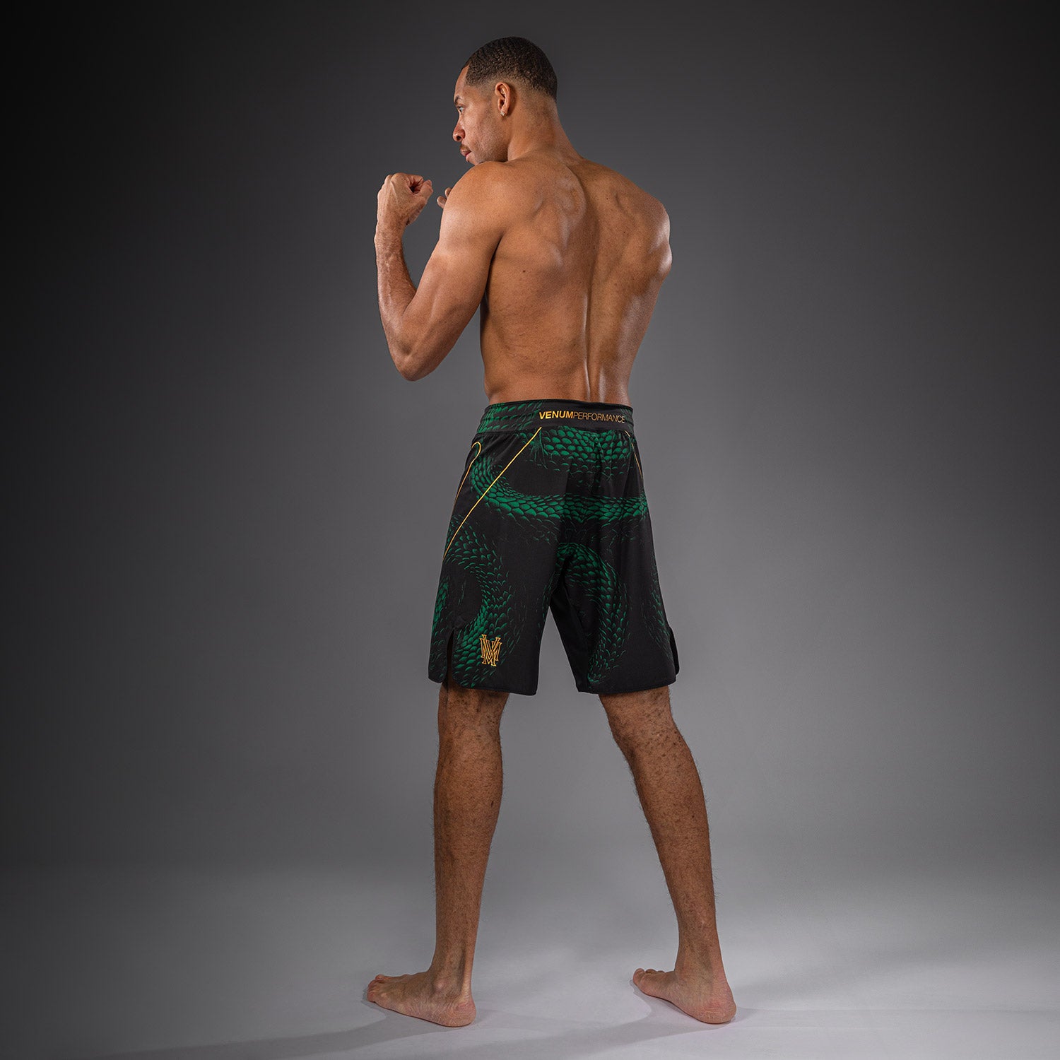 venum-matupa-fightshorts-herren-schwarz-gr-n-gold image 6