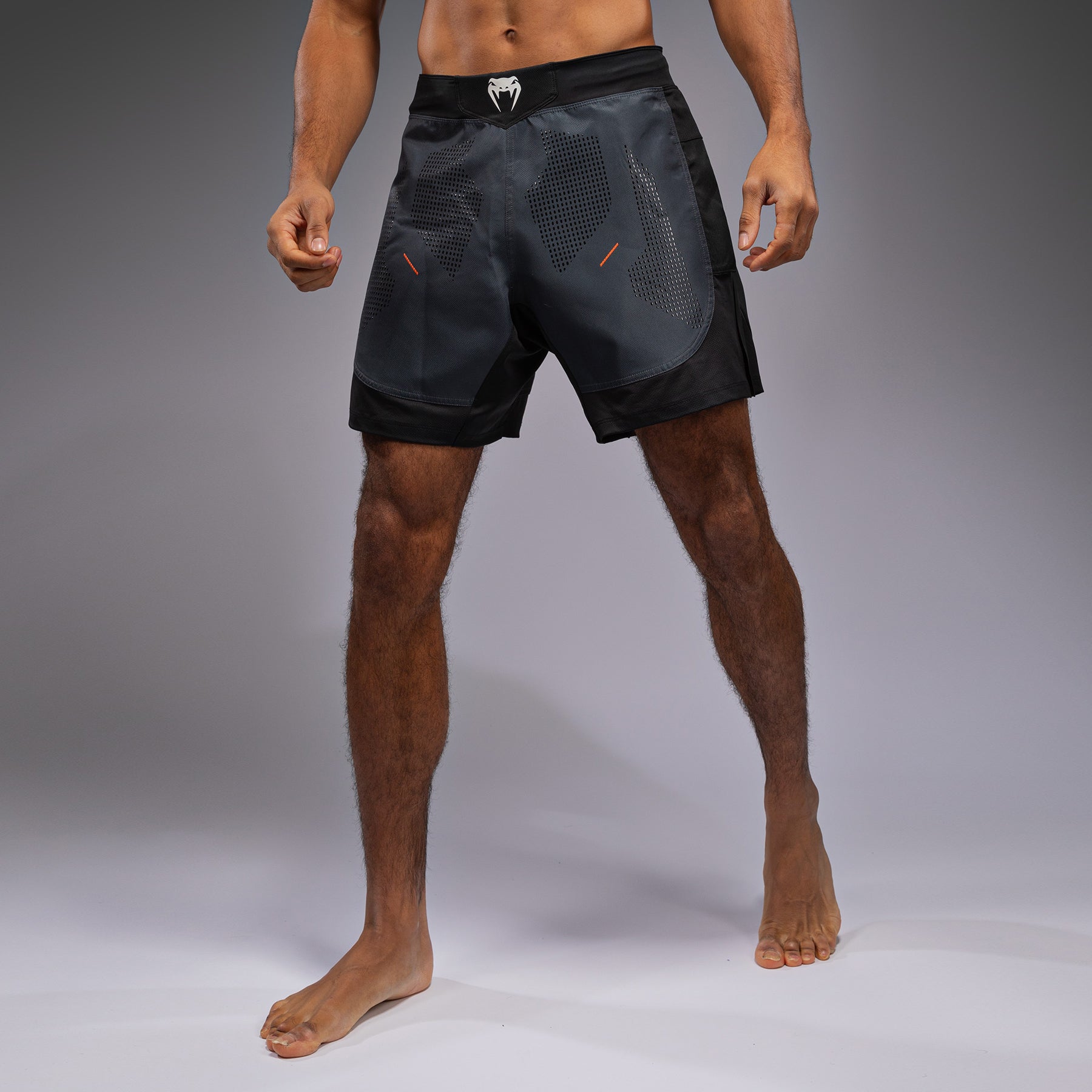 venum-technical-3-0-kampfshorts-graphit image 2