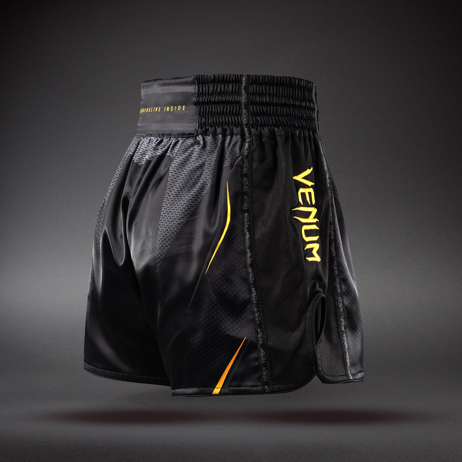 venum-g-core-muay-thai-shorts-schwarz-gold image 4