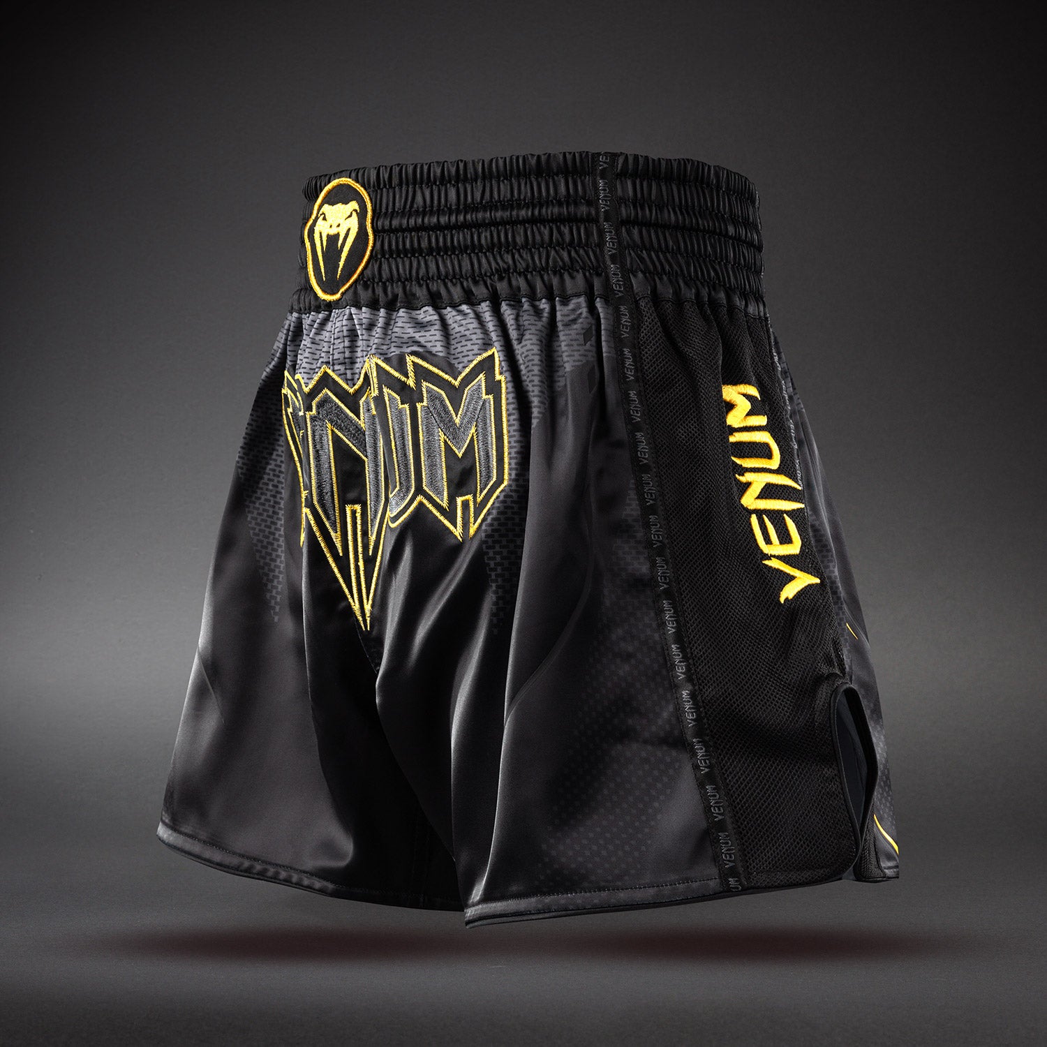 venum-g-core-muay-thai-shorts-schwarz-gold image 2