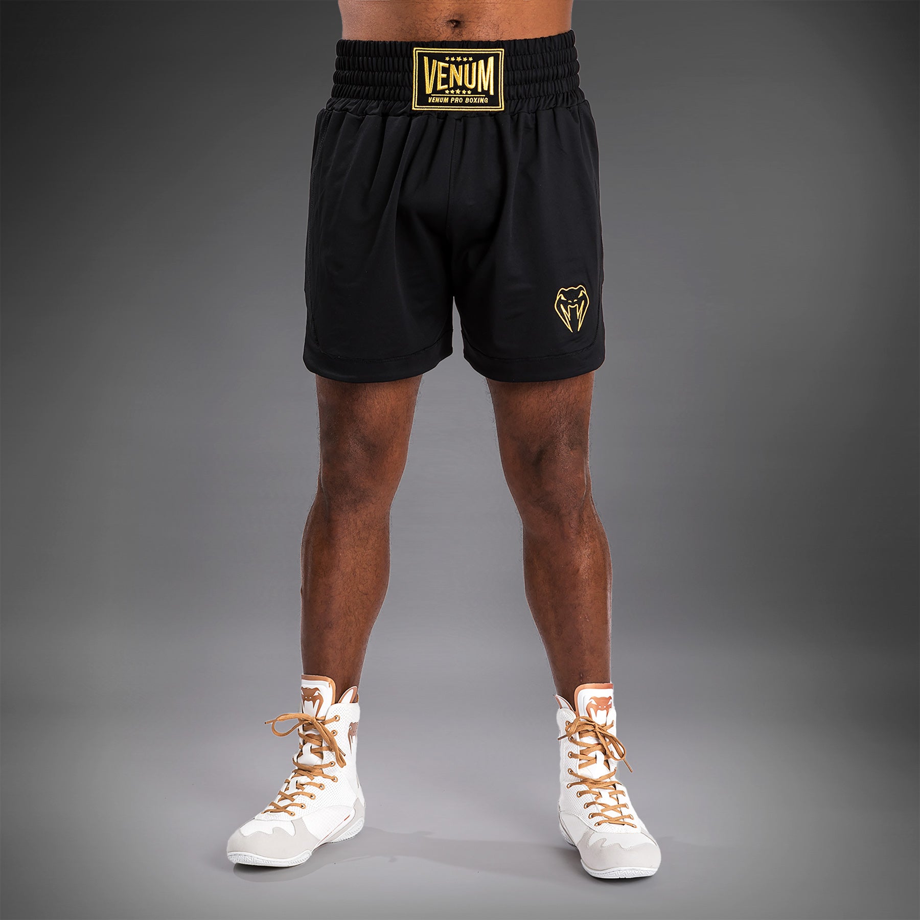 venum-classic-boxshorts-schwarz-gold image 1