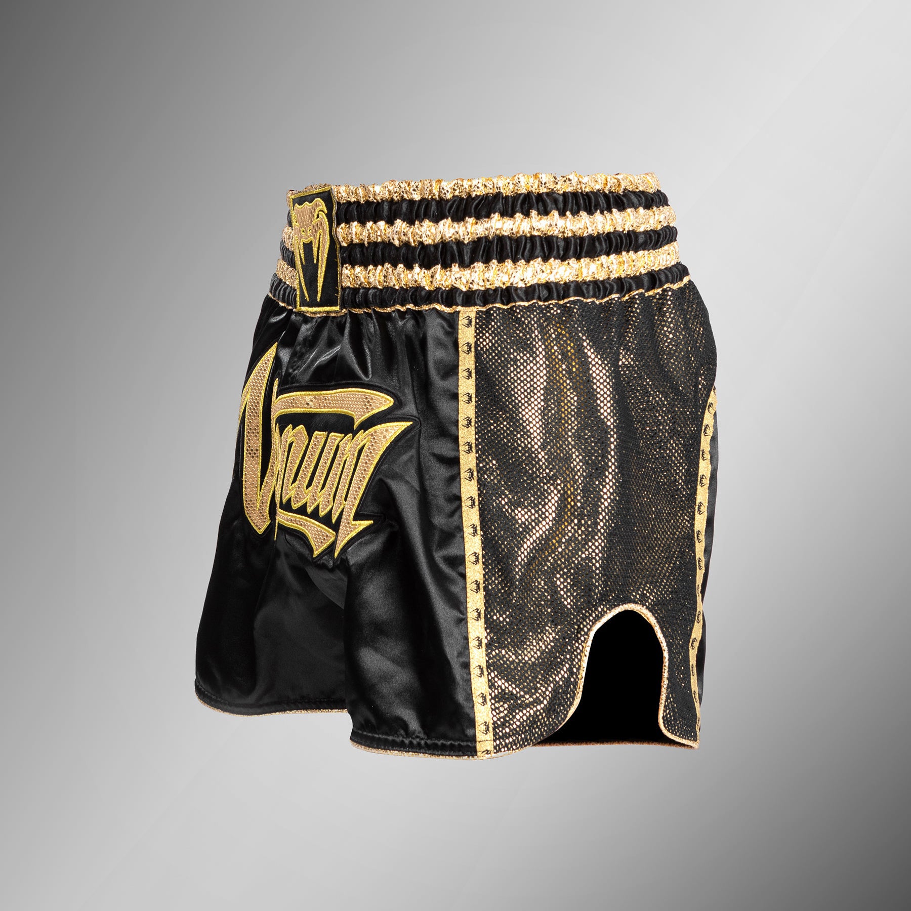 venum-absolute-2-0-muay-thai-shorts-schwarz-gold image 3