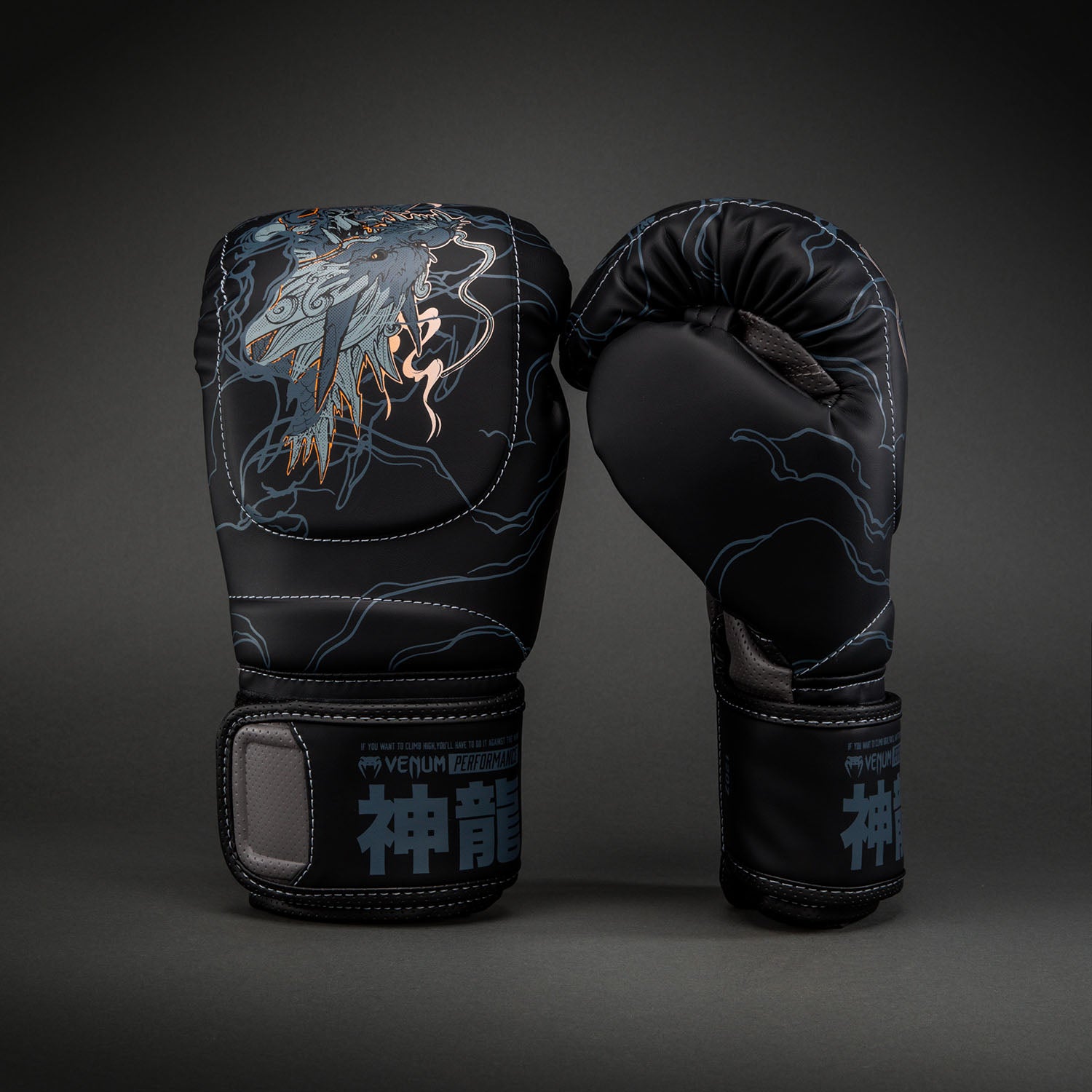 venum-thunder-dragon-boxhandschuhe-schwarz-grau-kupfer image 2