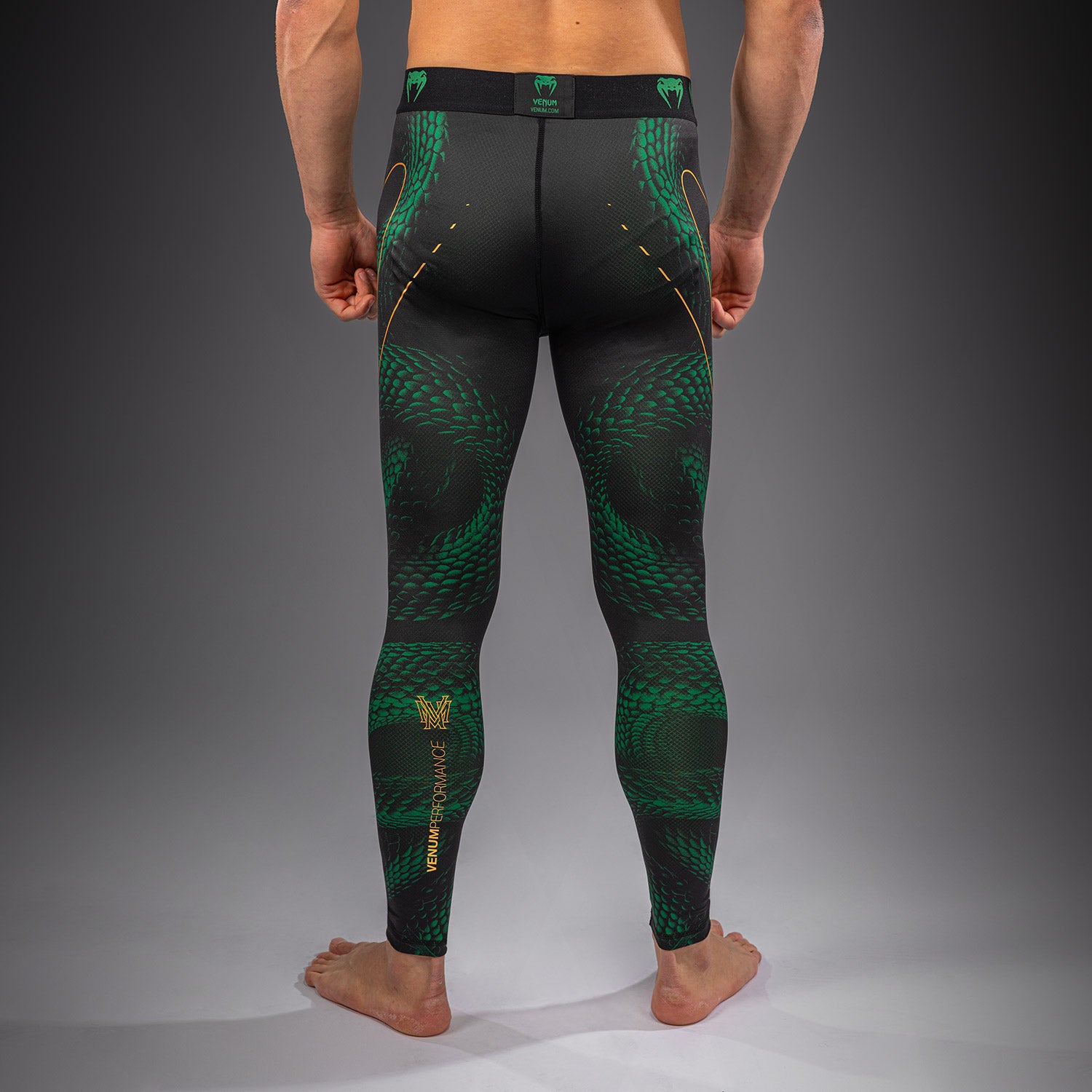 venum-matupa-spats-herren-kompressionstights-schwarz-gr-n-gold image 4