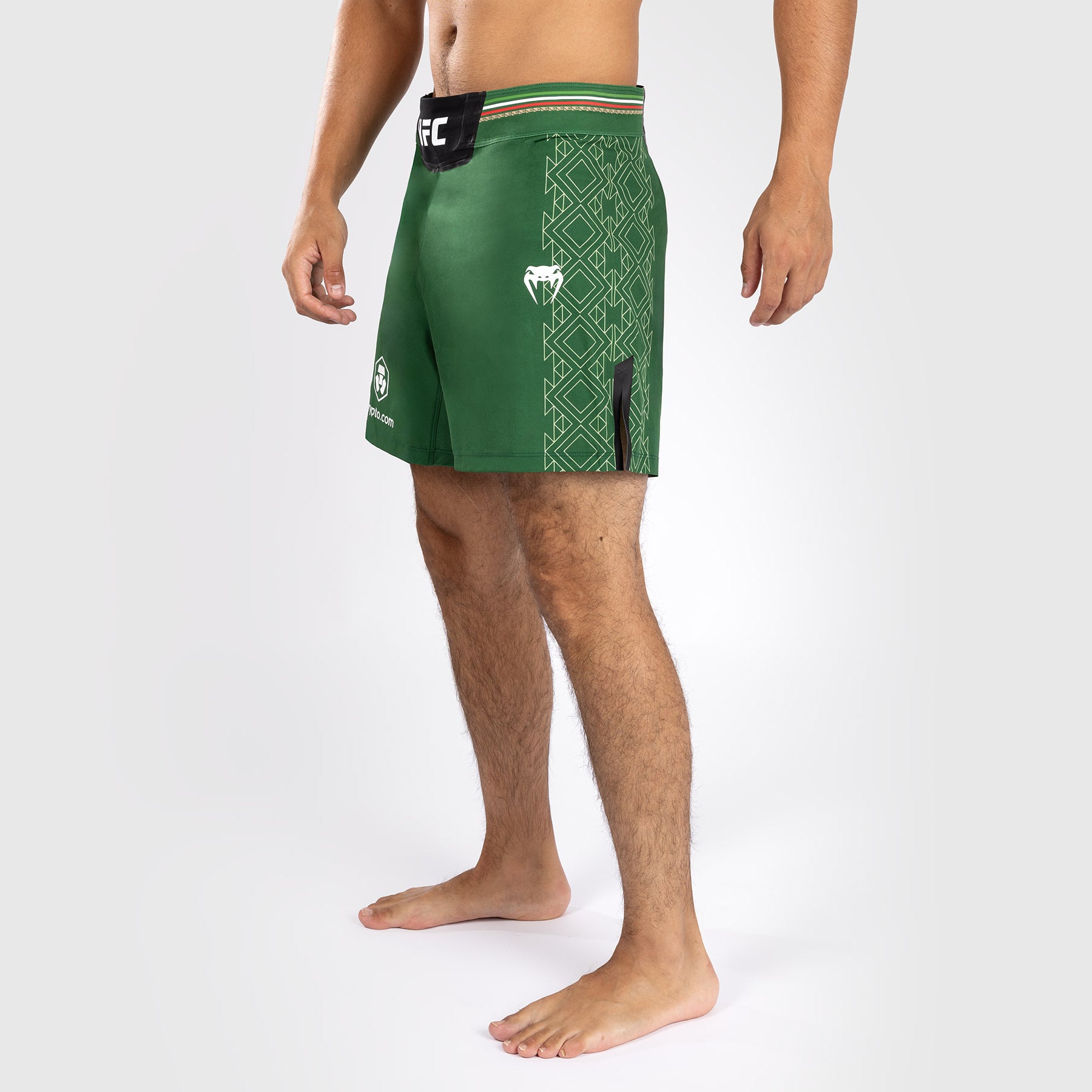 noche-ufc-by-venum-authentic-fight-night-kampfhose-kurz-gr-n image 3