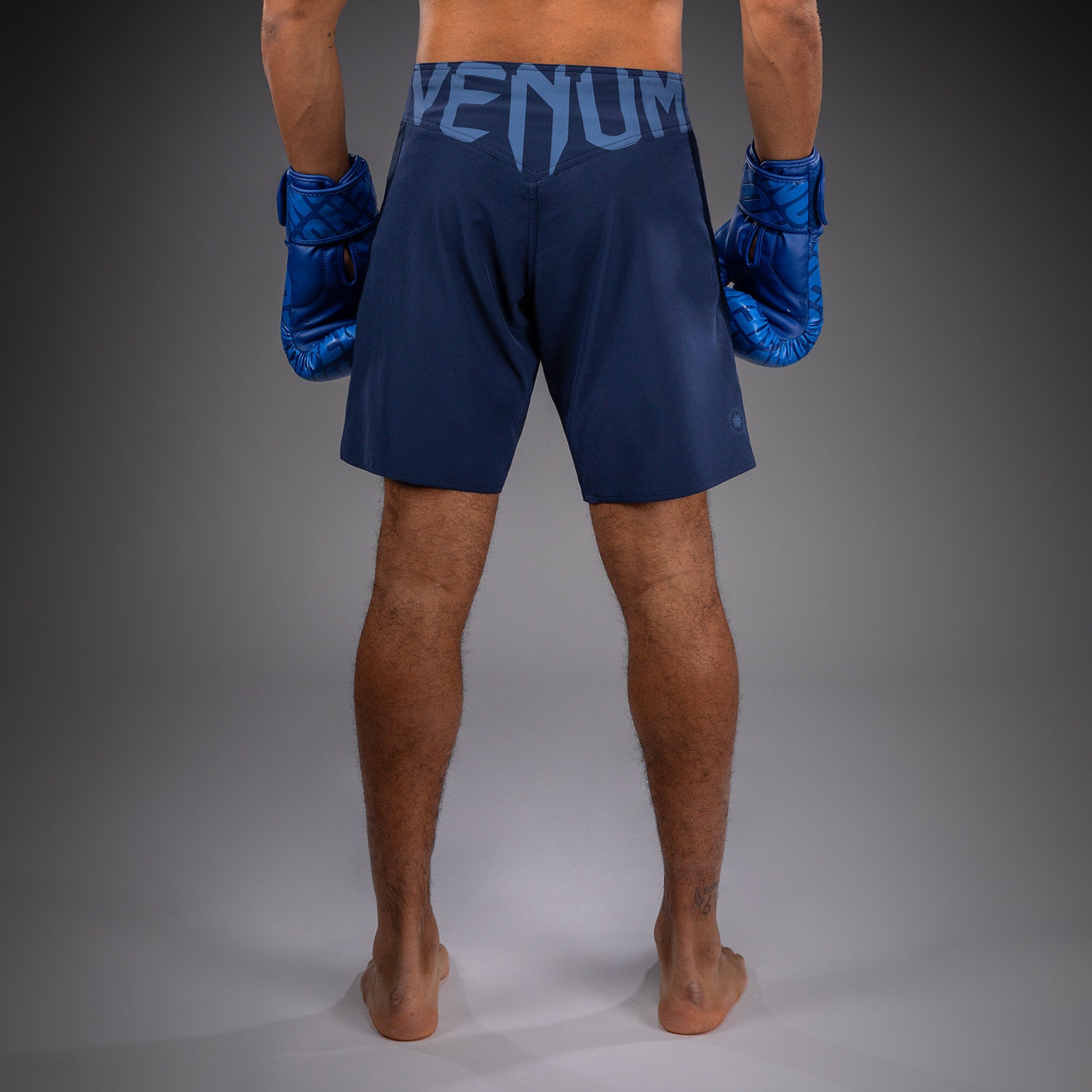venum-light-5-0-fightshorts-herren-blau-himmelblau image 3